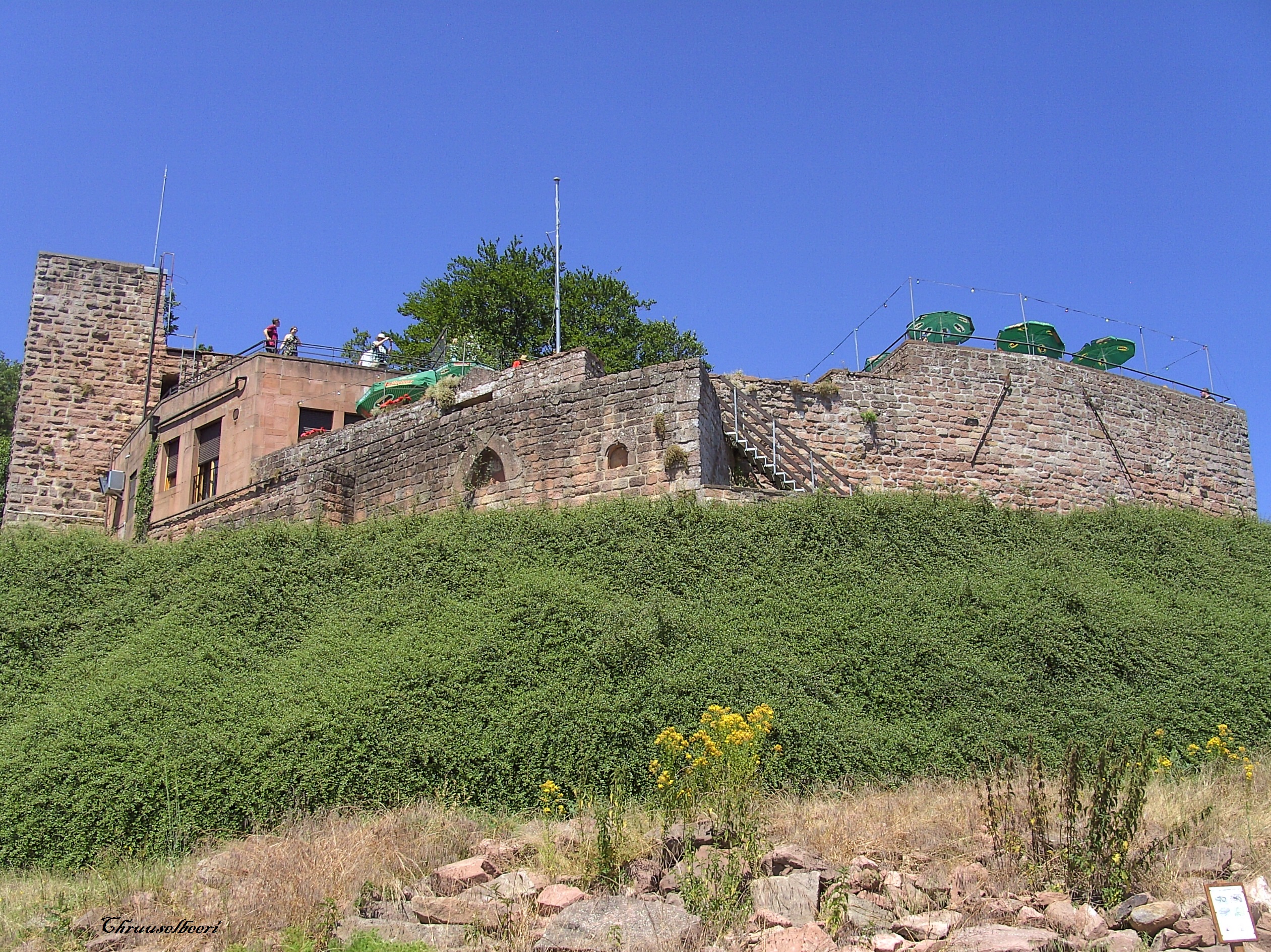 Rietburg_01.jpg