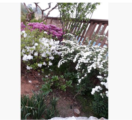 마음만 전달했던 어제하루