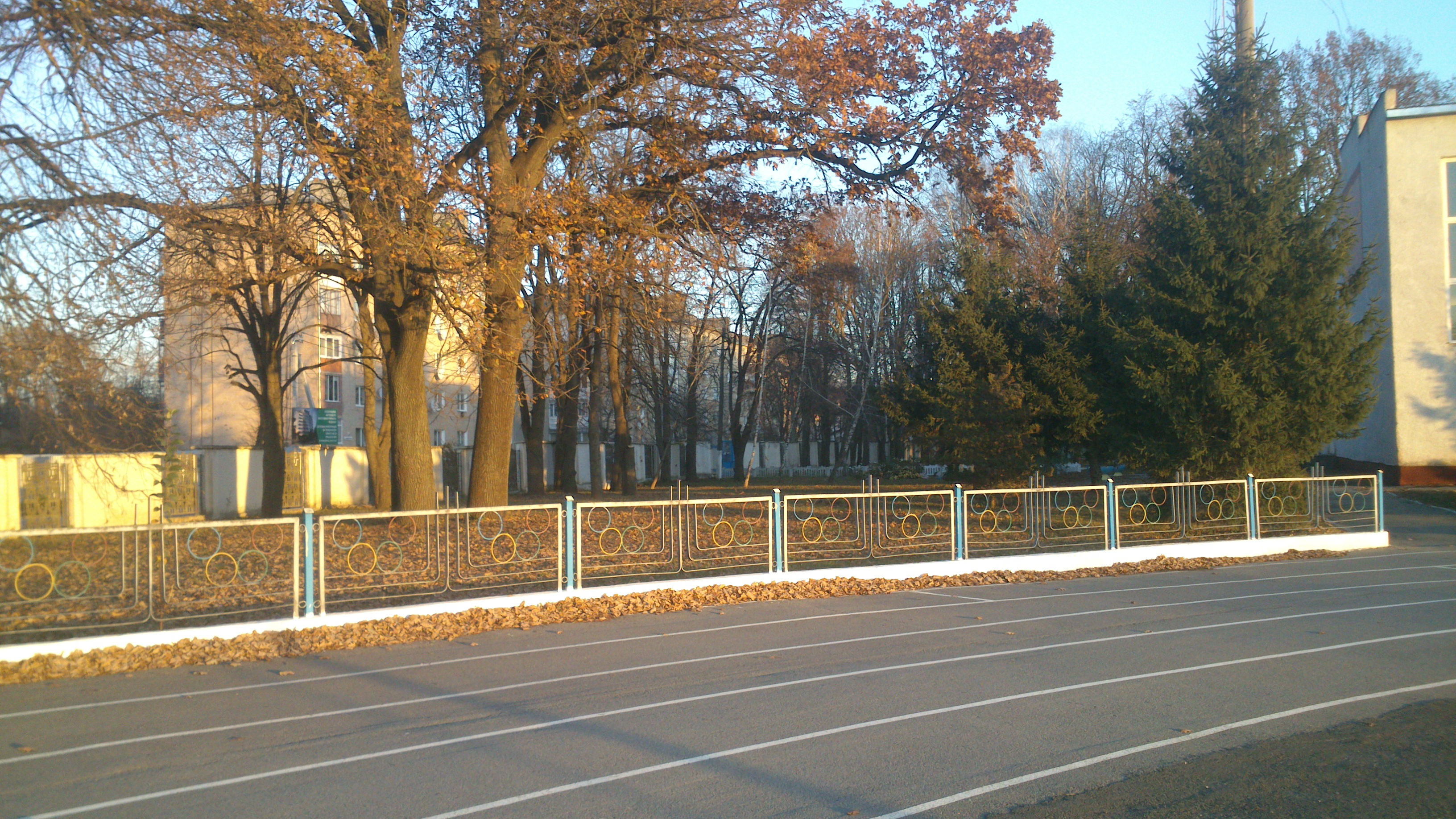 DSC_2919.jpg