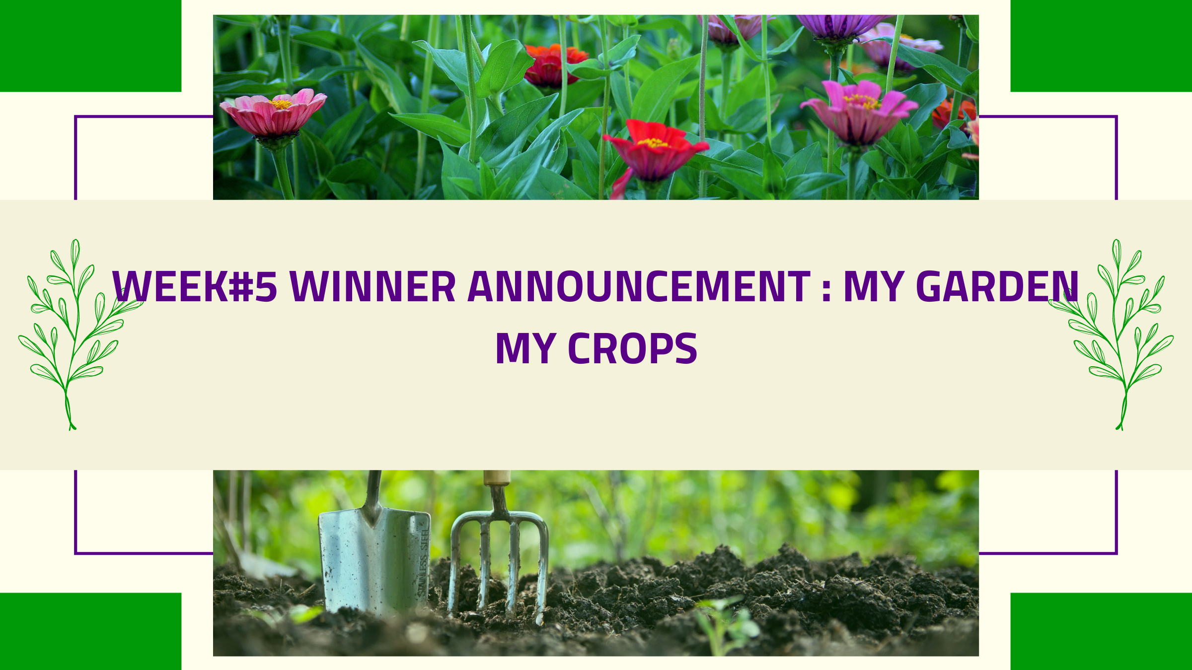 Contest my garden & ceops(4).png