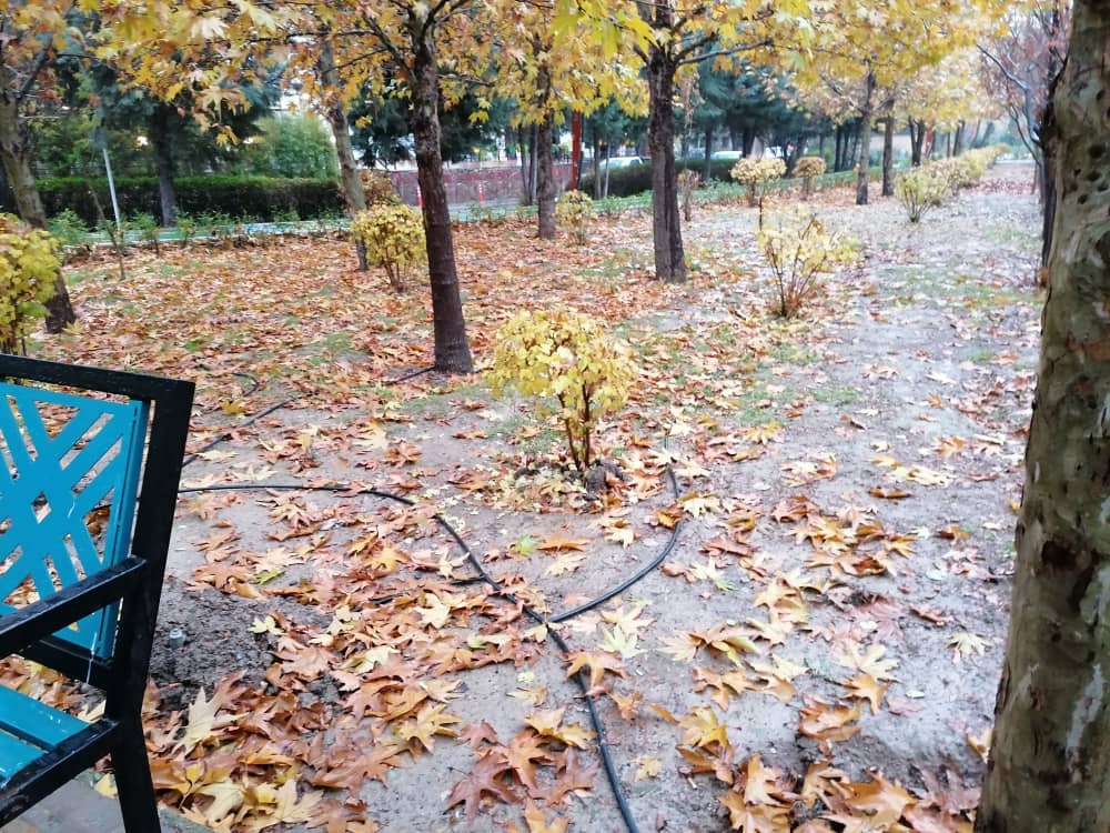 parkpicture56 (20).jpeg