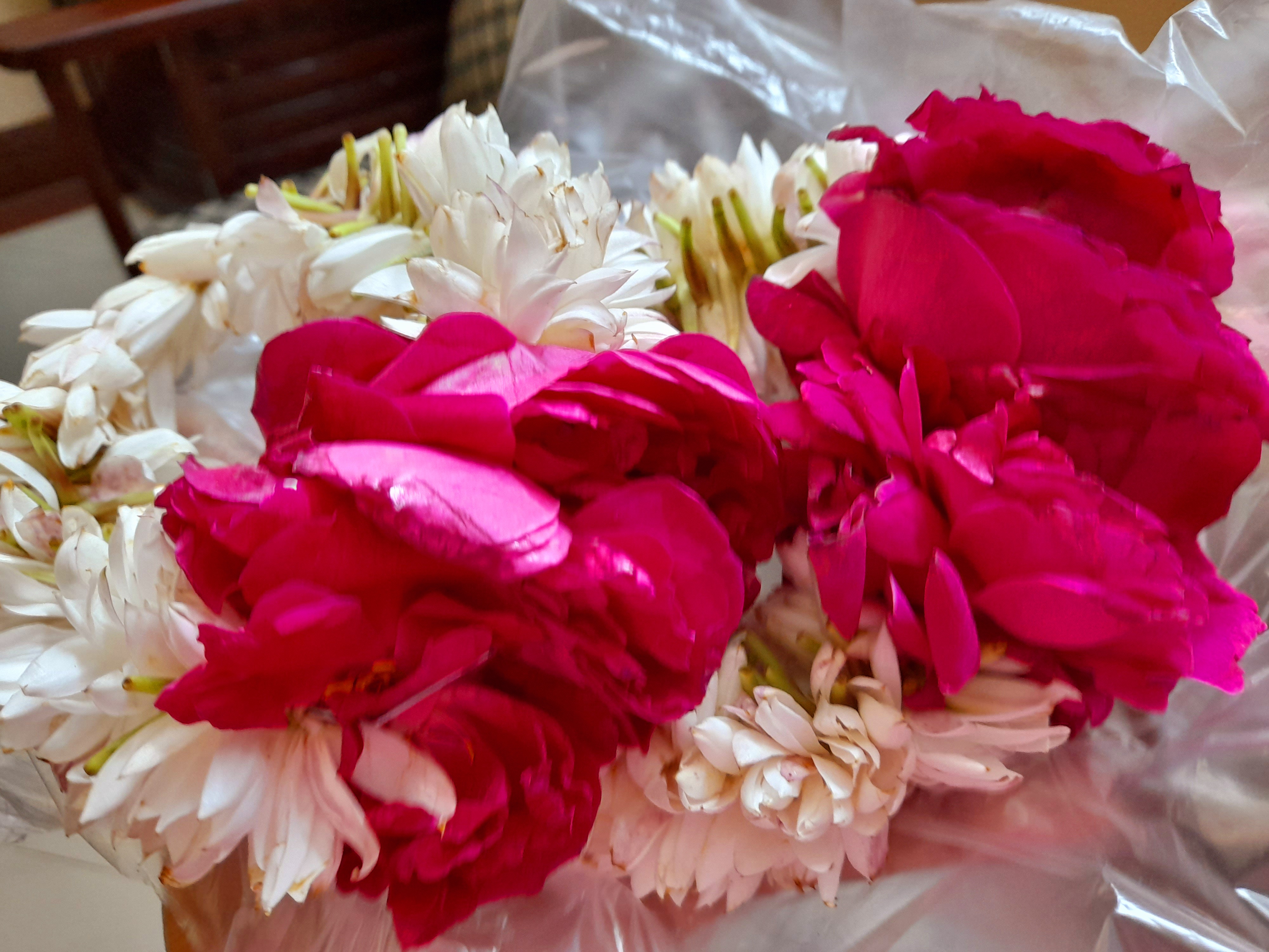 20220125_161610.jpg