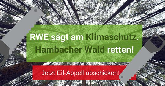 rwe2.png