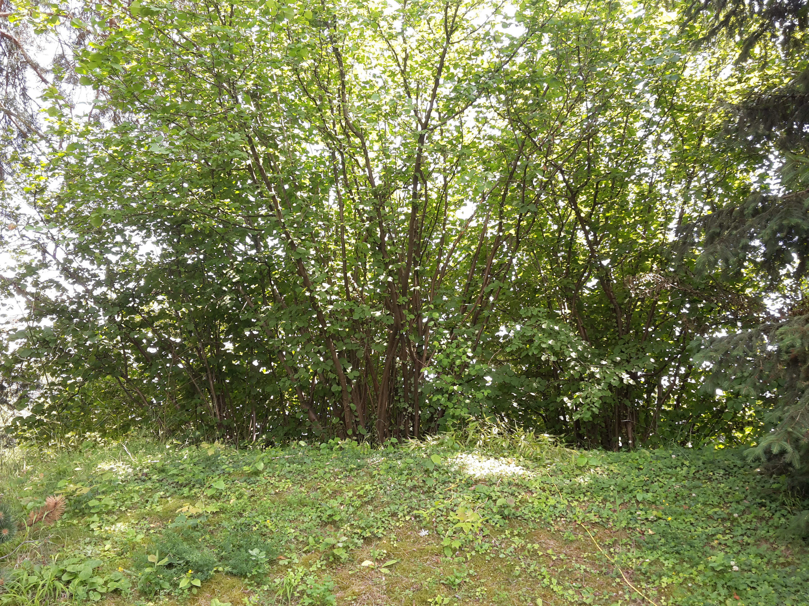 20180616_151658.jpg