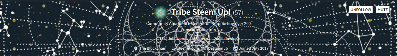 Screenshot_2018-10-22 tribesteemup.png