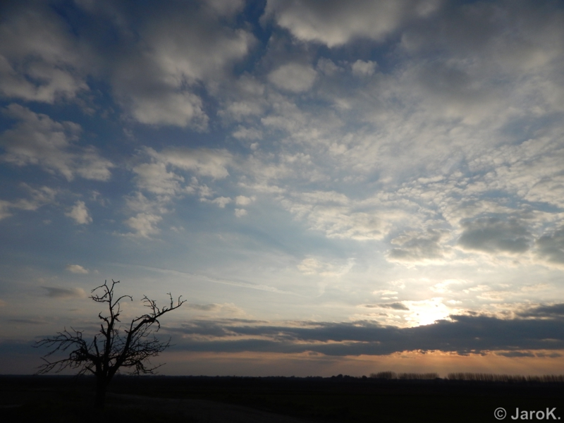 DSCN7530.jpg