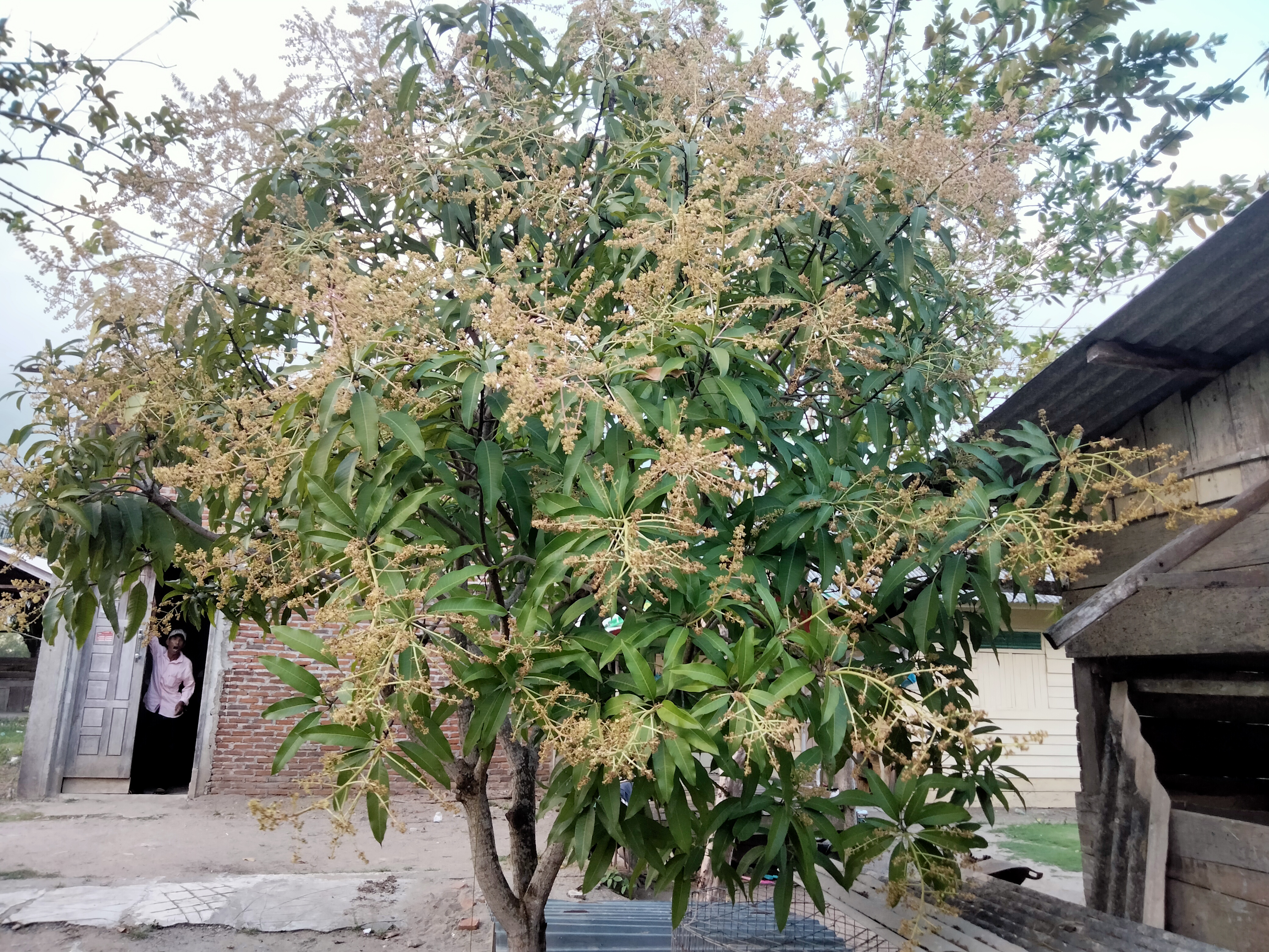 IMG20260226175643.jpg