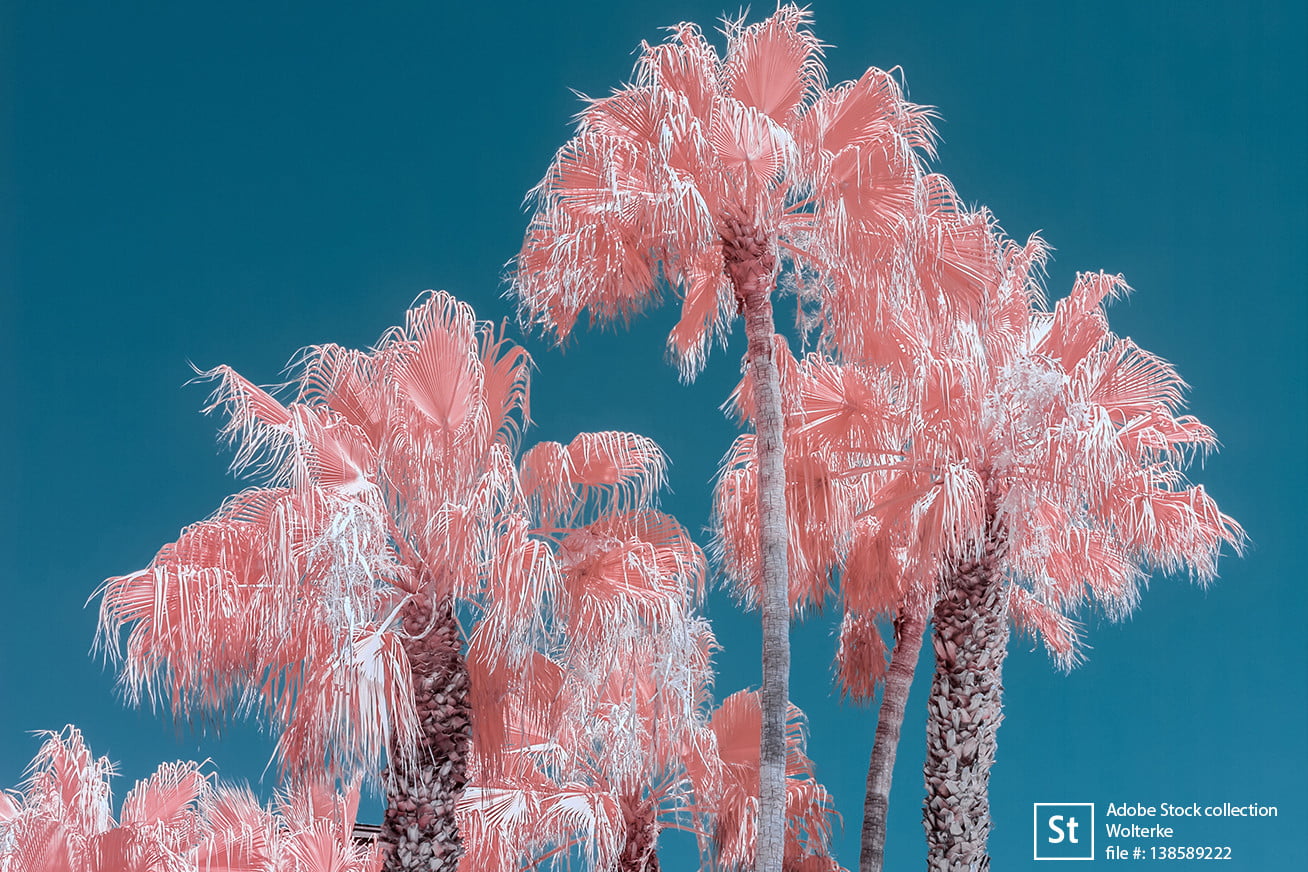 2018adobestockvisualtrends_creativereality-1308x872.jpg