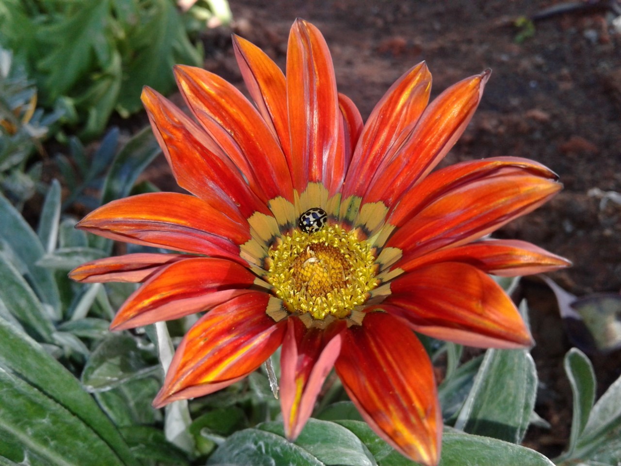 thumbnail_20180716_145041.jpg