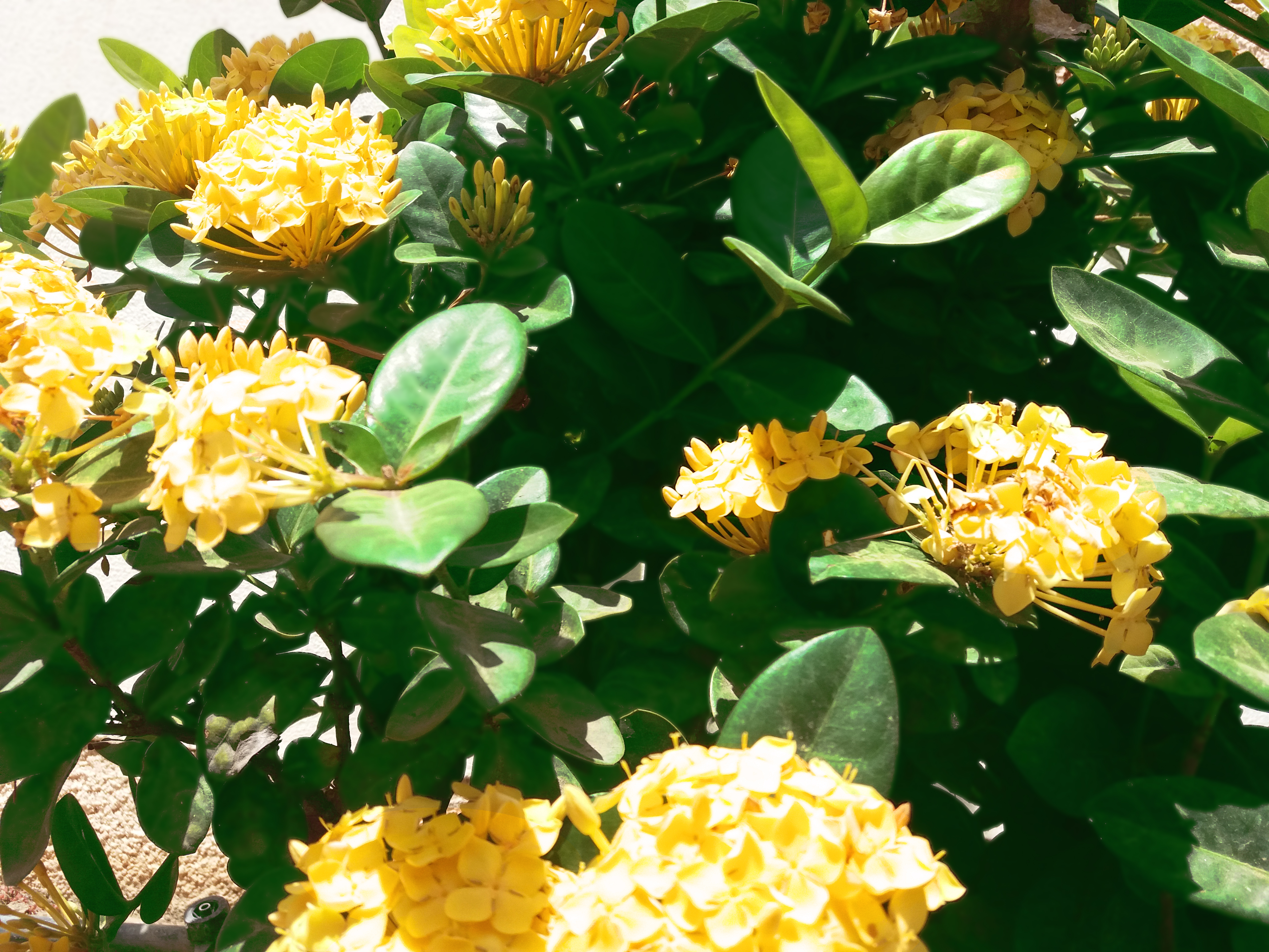 20180526_102229.jpg