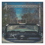 mustang_antwerpen_stadspark_border_tn.jpg