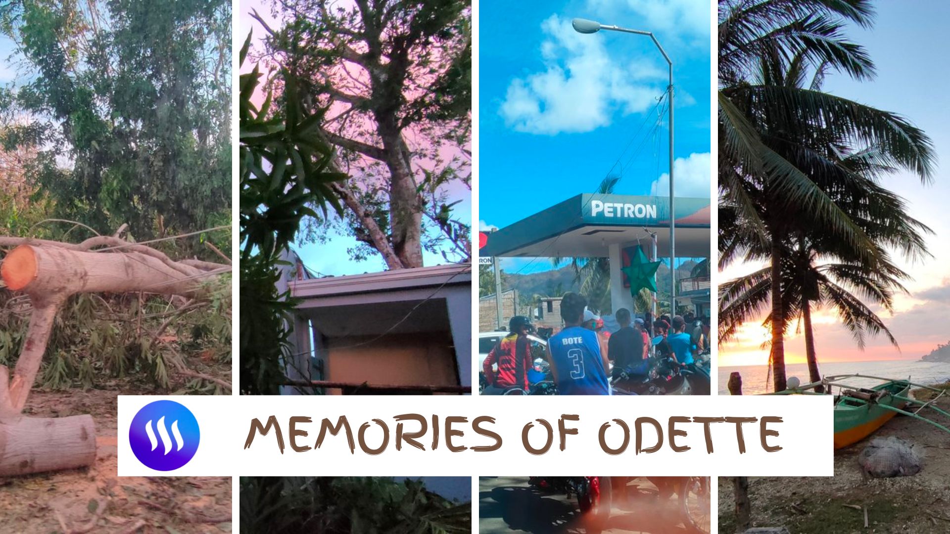 odette1.jpeg