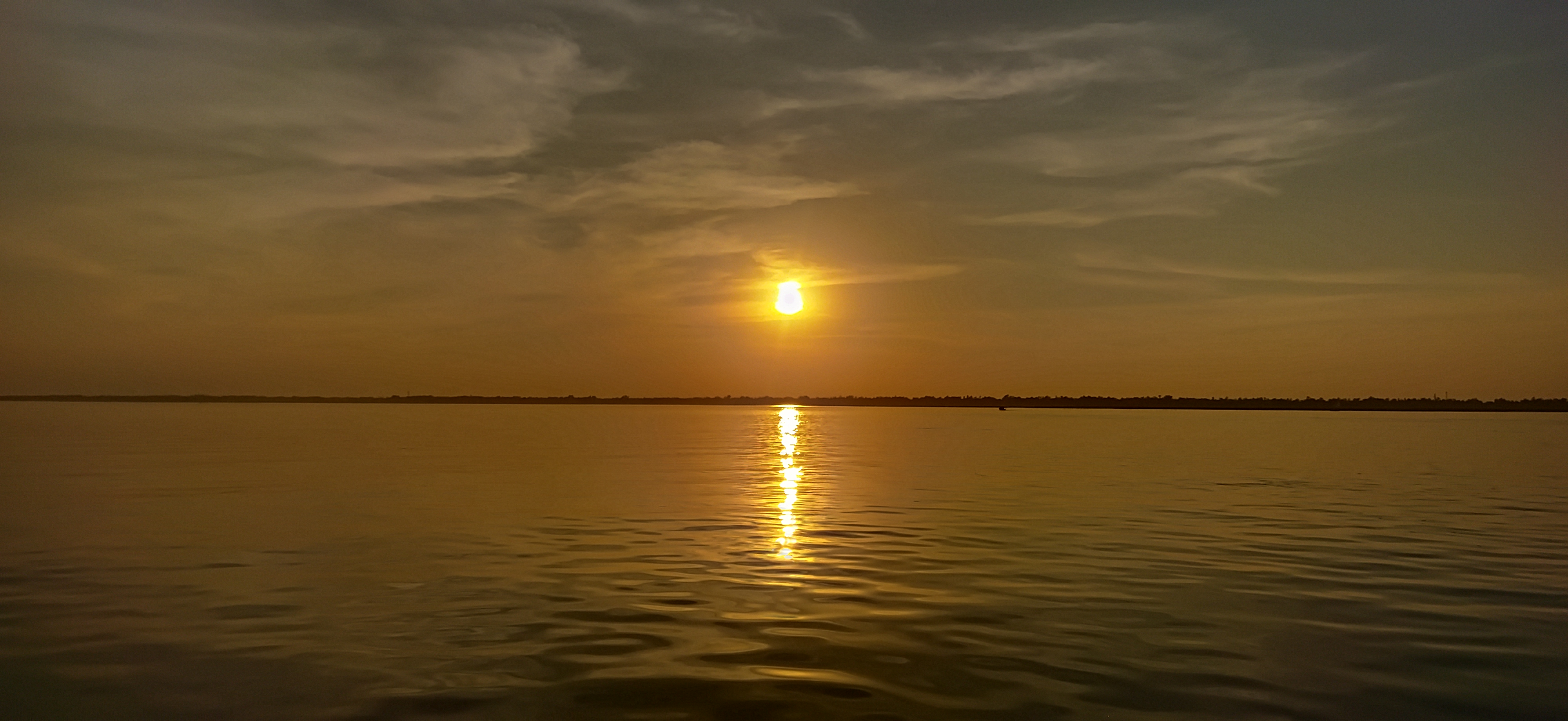 IMG_20221119_164438.jpg