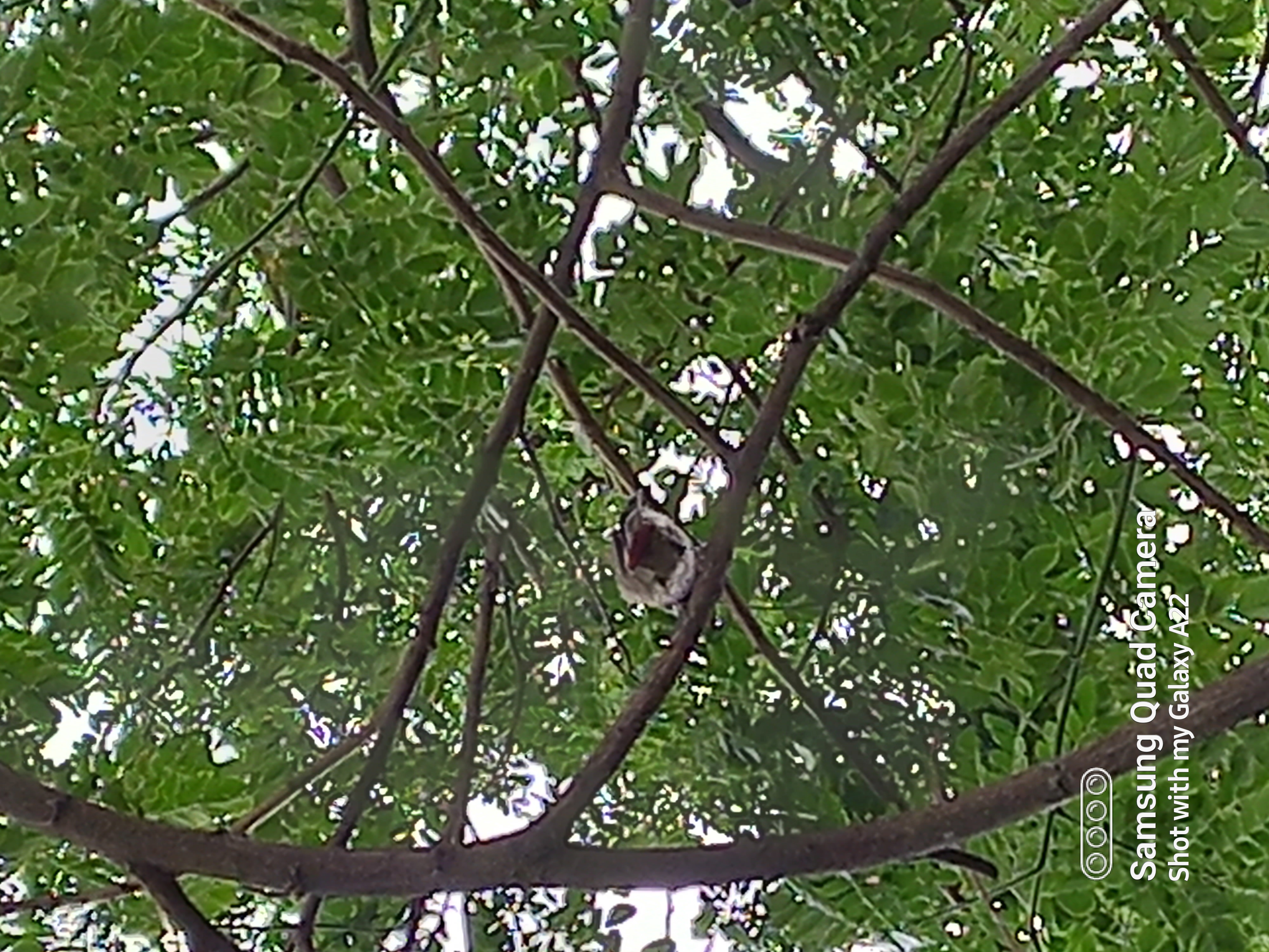 20220513_074728.jpg