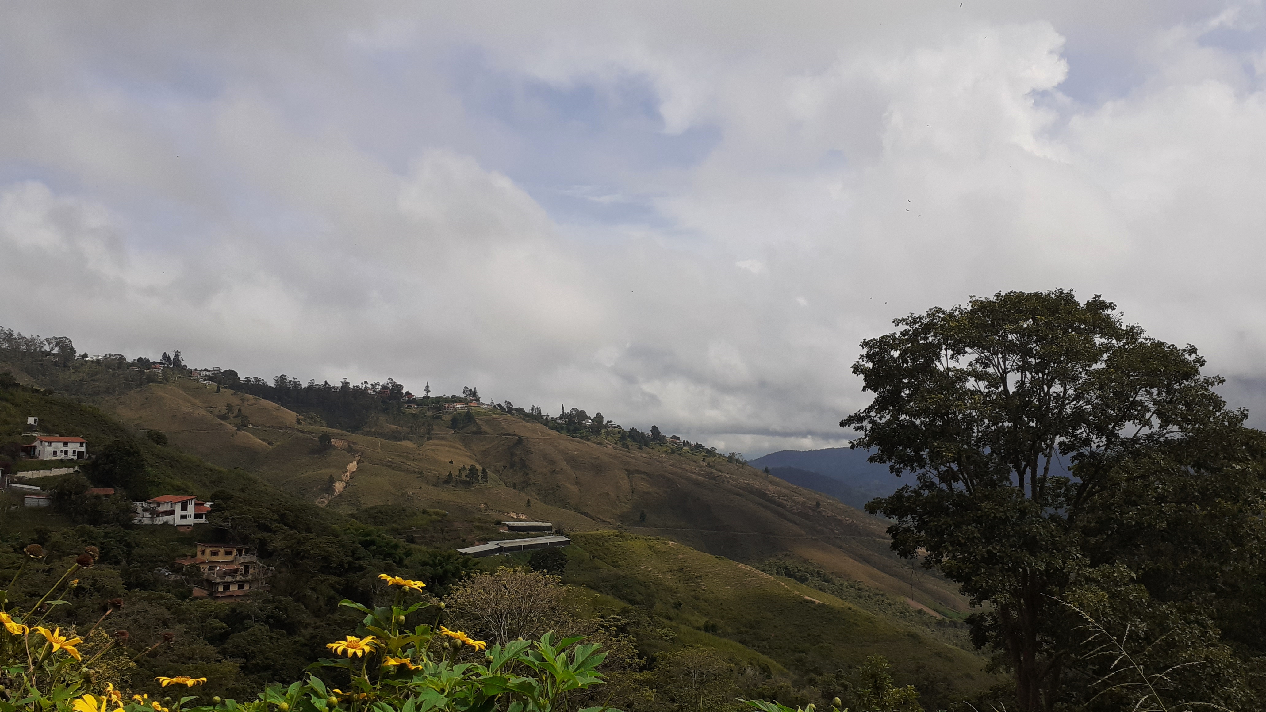 20201101_102332.jpg