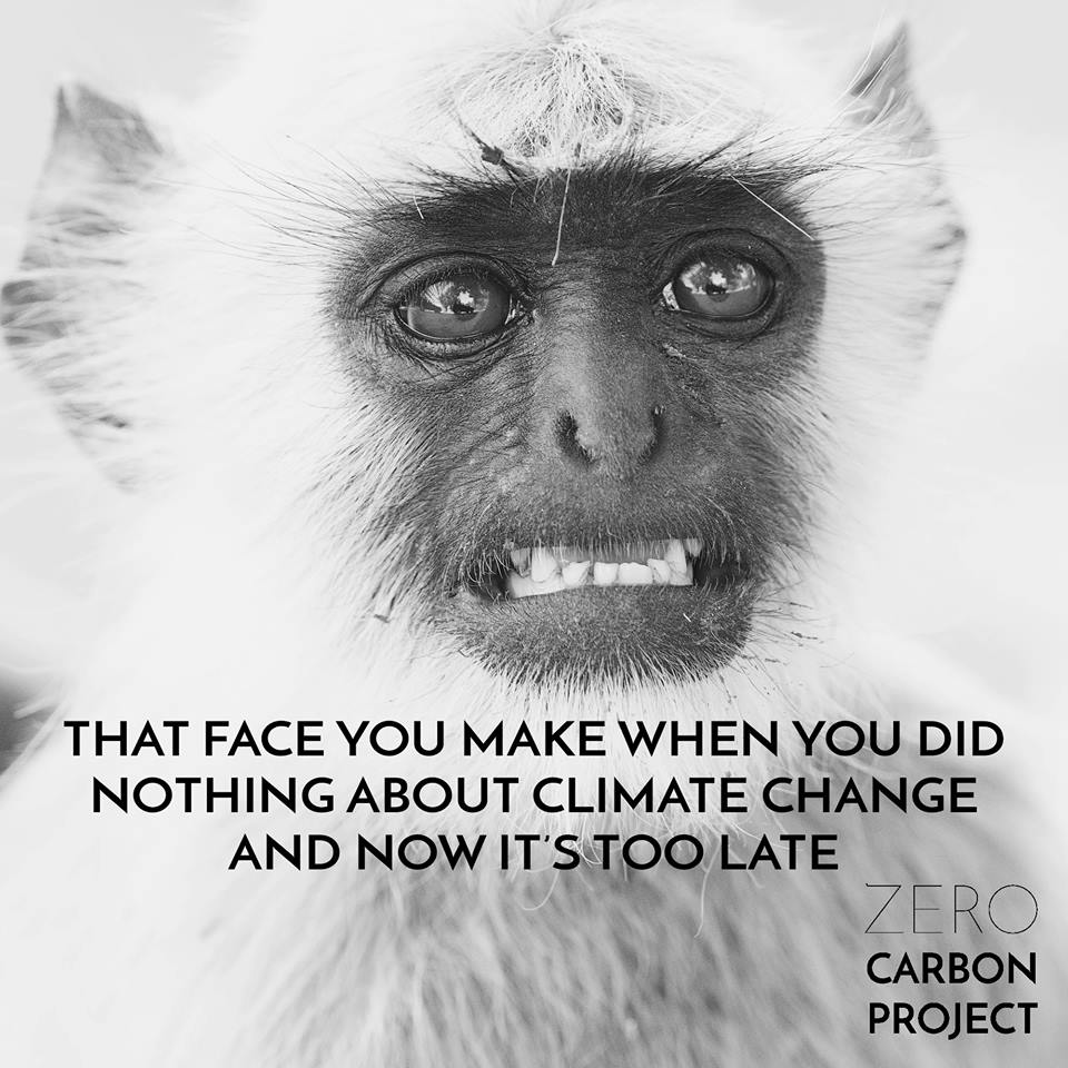 carbon 1.jpg