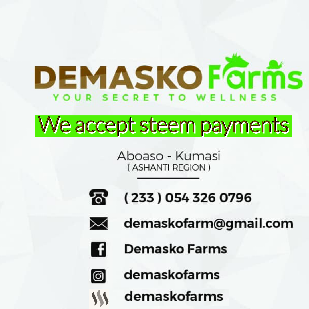 05DB2B2D-B395-4B78-B503-63AD2E243E0A.png