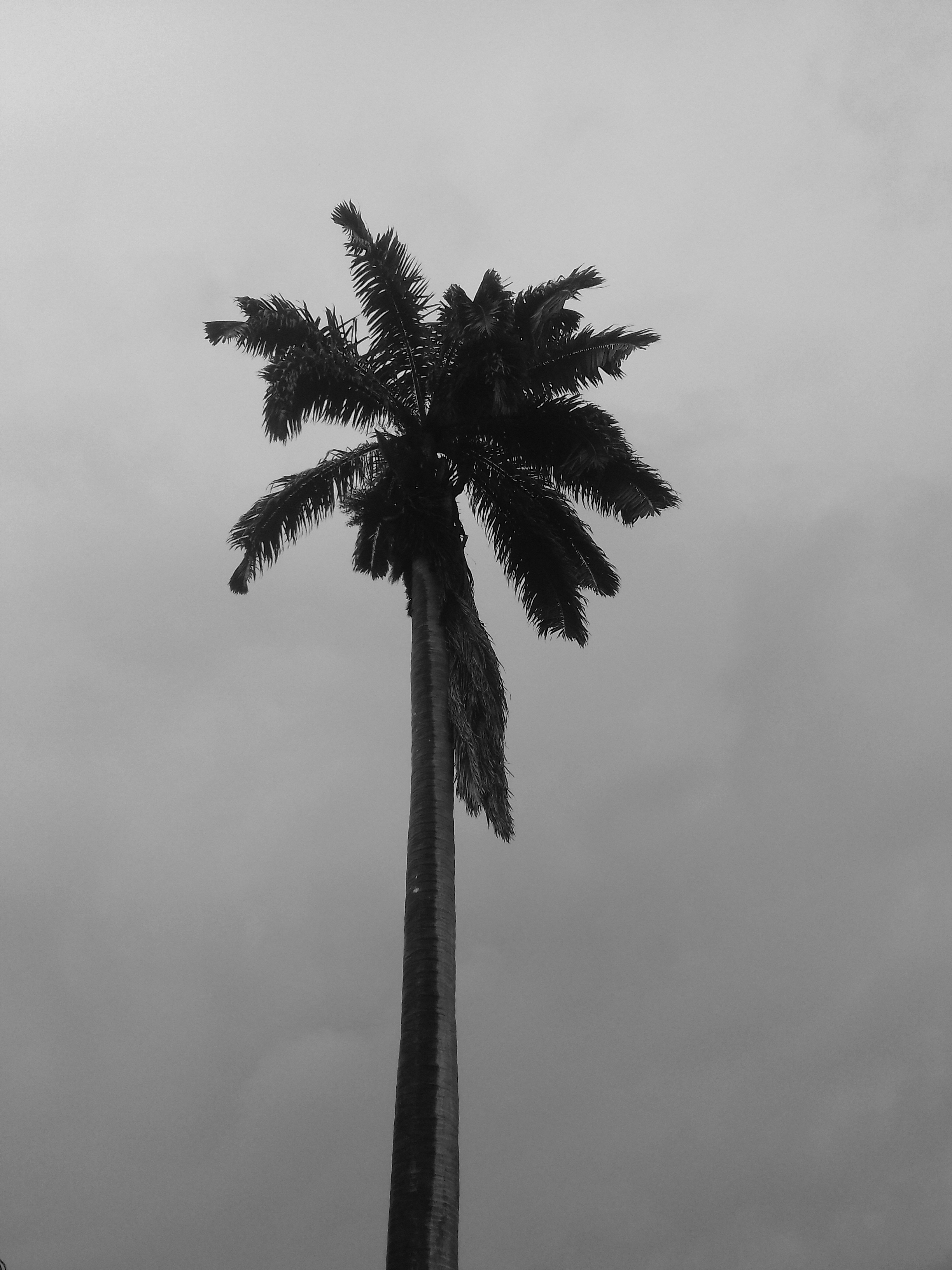 20210709_141424.jpg