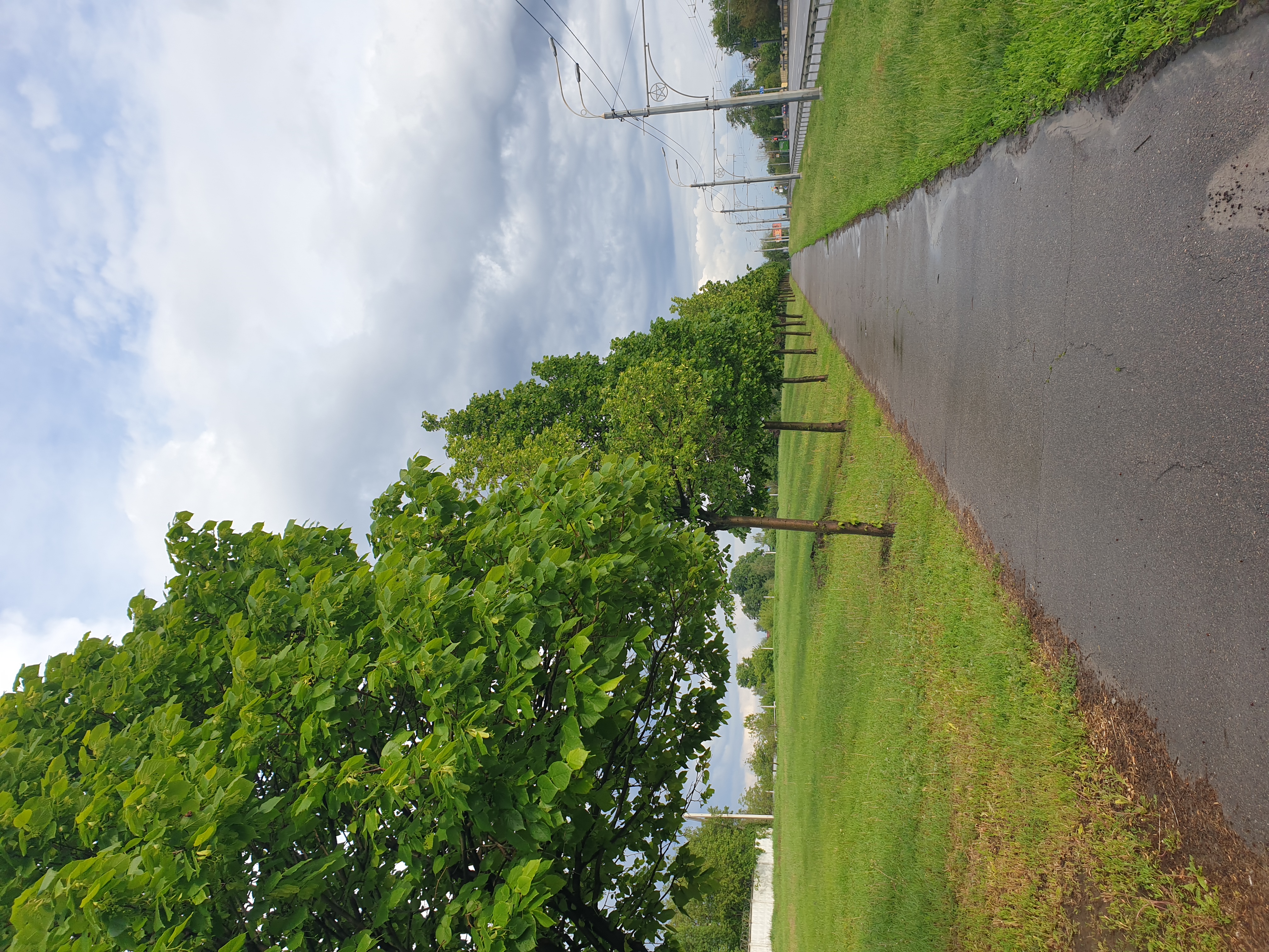 20250519_175515.jpg