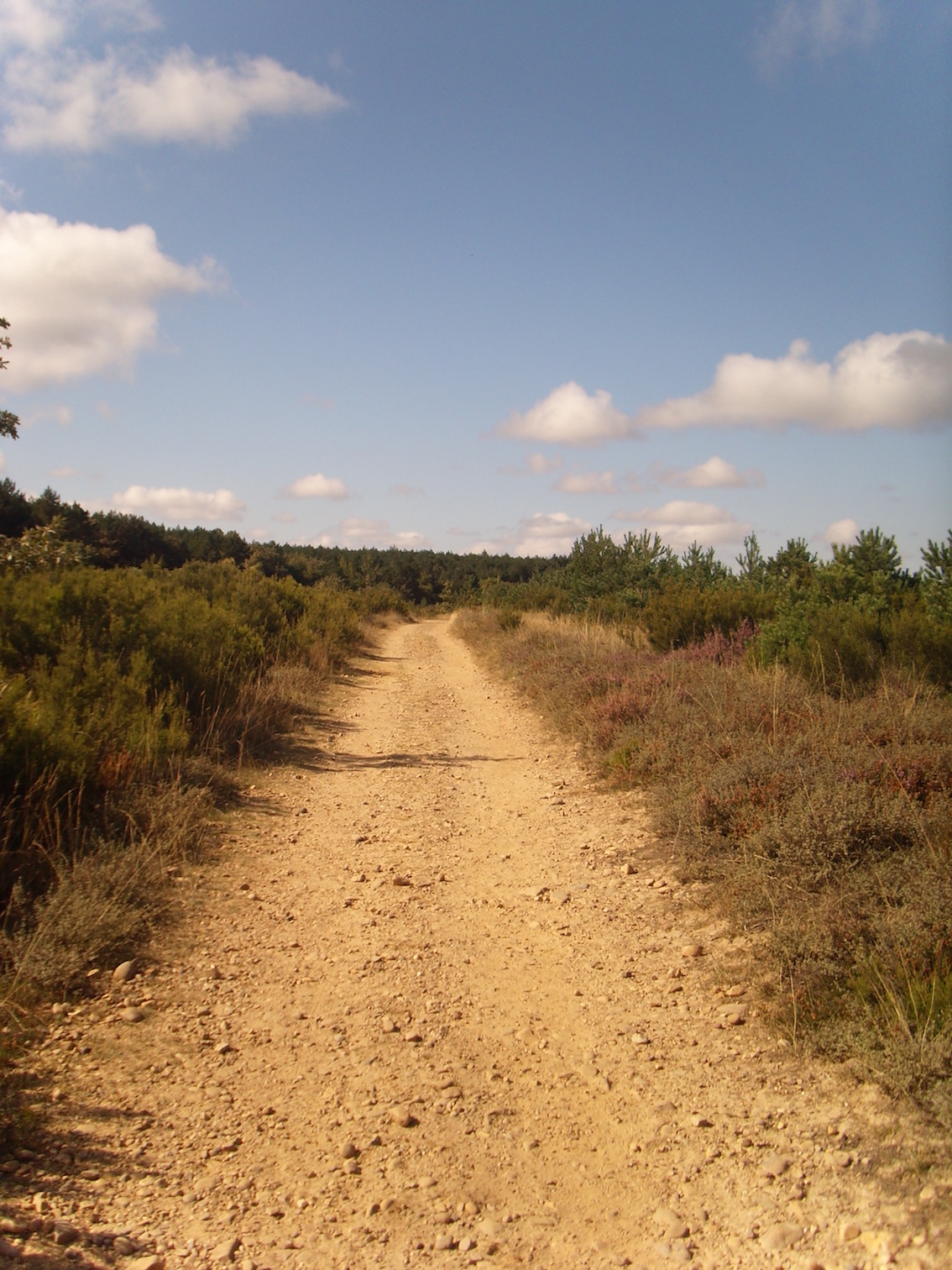 DSCI0366.JPG