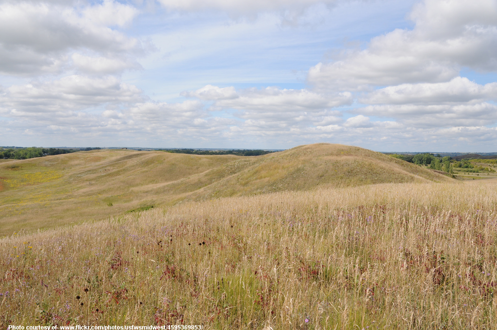 GrasslandsInAutumn-001-0901718.jpg