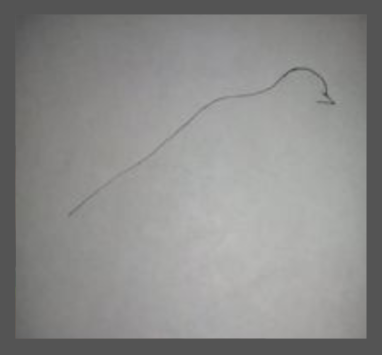 Untitled design (7).png