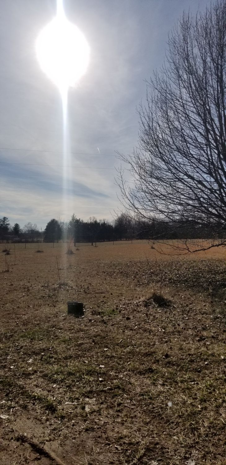 20180209_143651 - UFO - Interesting reflection of the sun.jpg