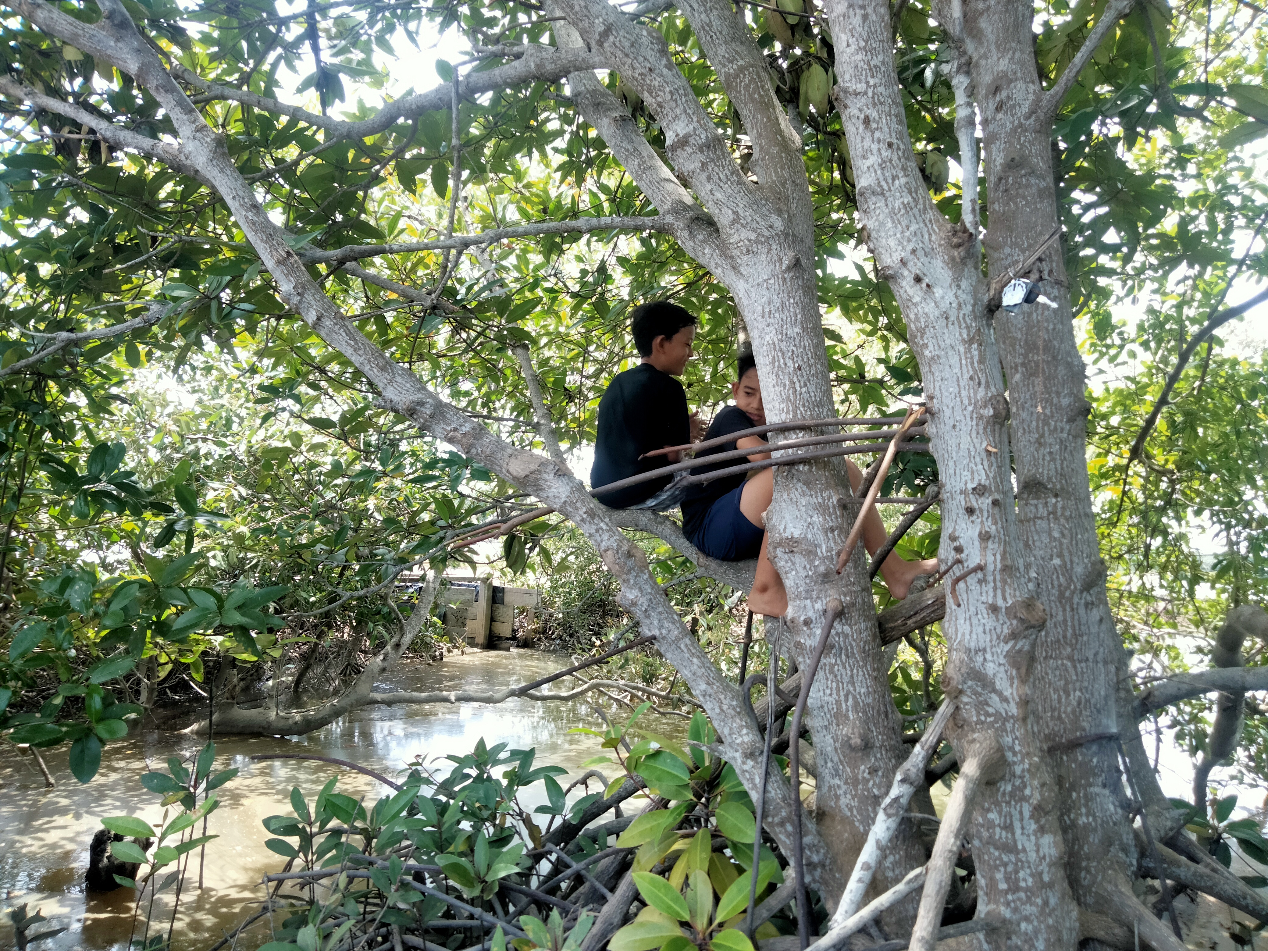 IMG20260522124100.jpg