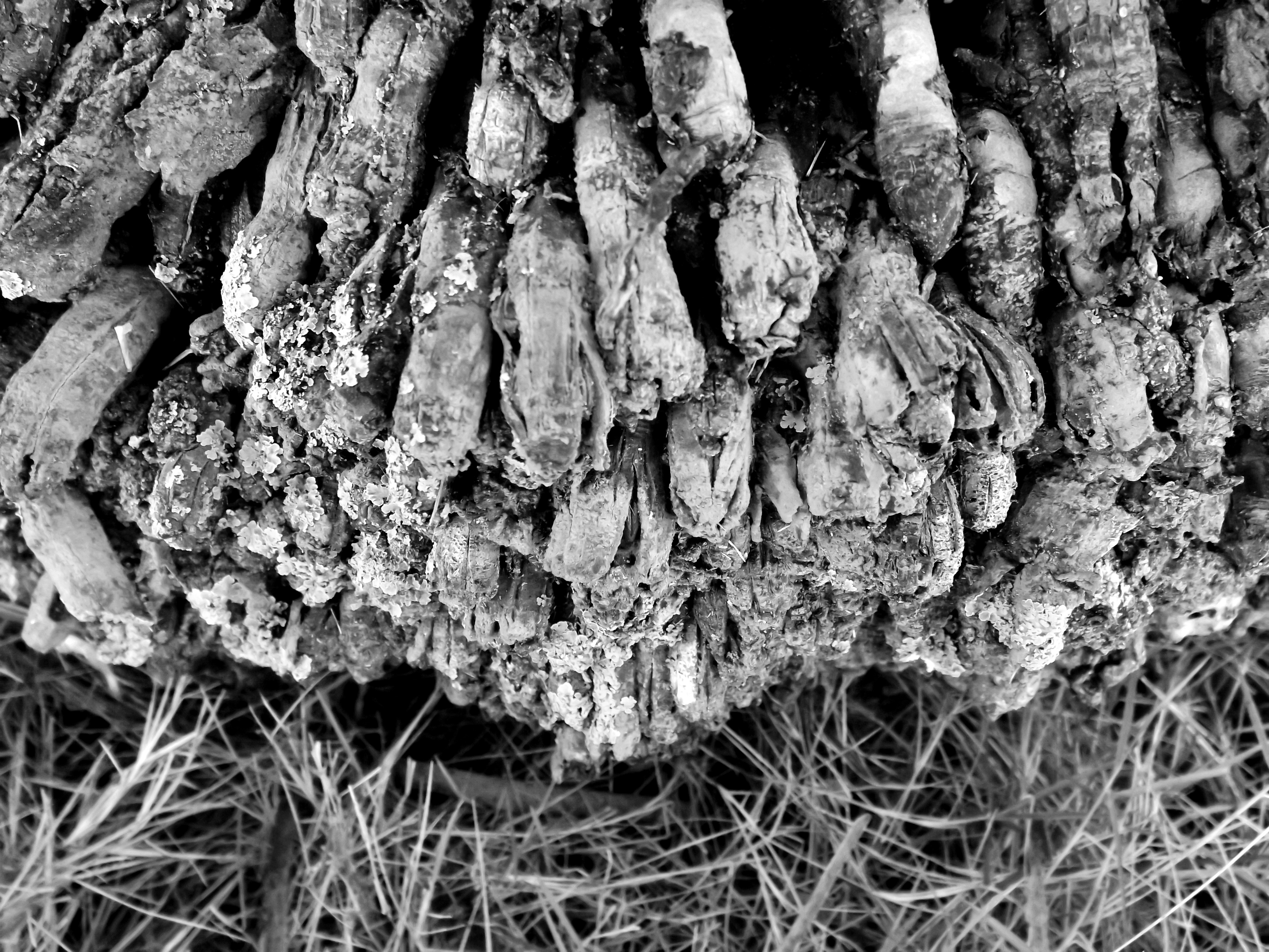 DSCF3528-1.JPG