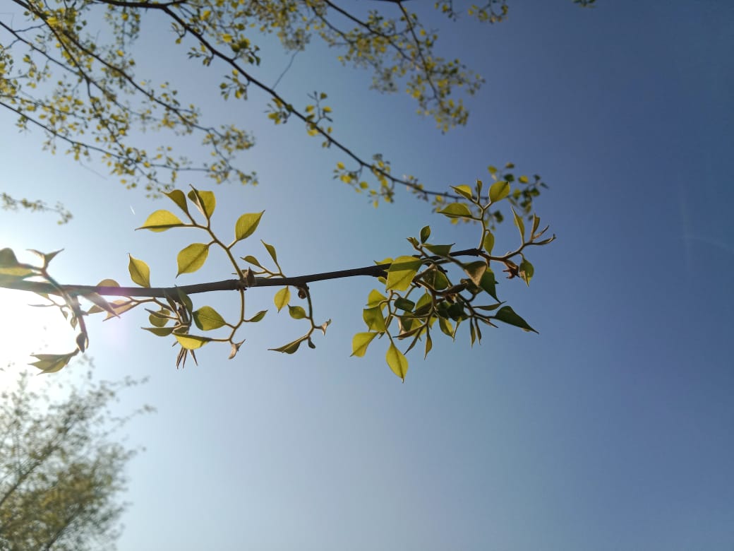 A81C0532-A774-4CB3-9555-935ED36D4023.jpeg