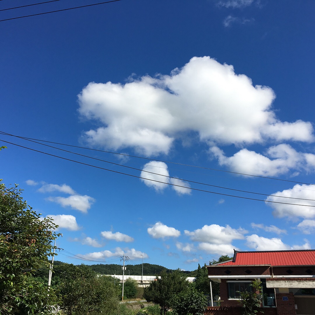 2F547443-5B2A-43C4-8317-2D4AA0A49956.jpeg