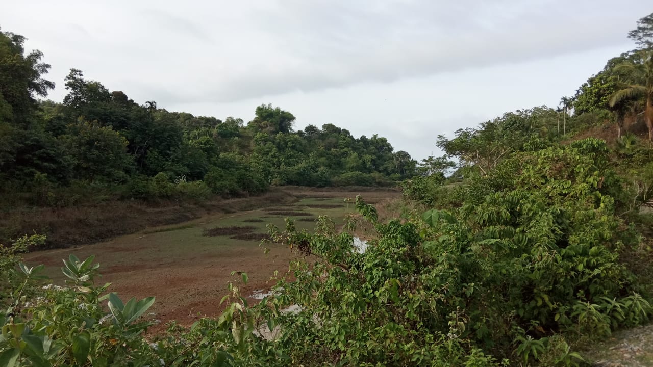 IMG-20210323-WA0037.jpg