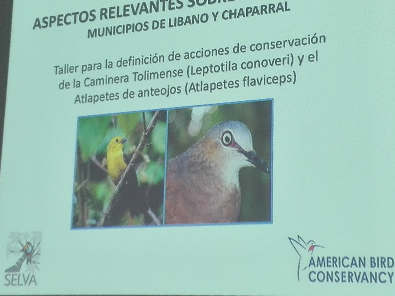Foro4.jpg