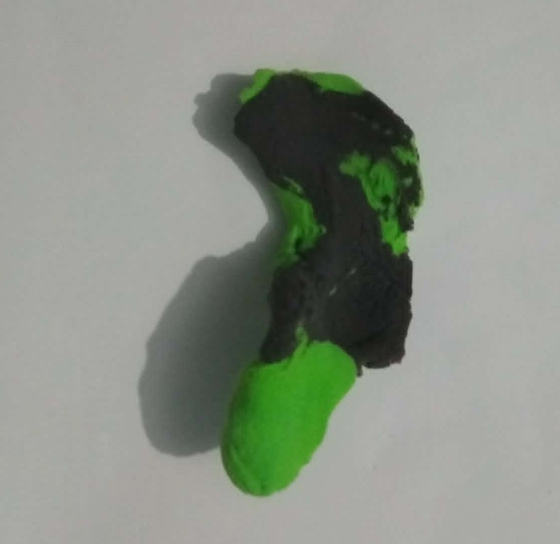 w4.jpg