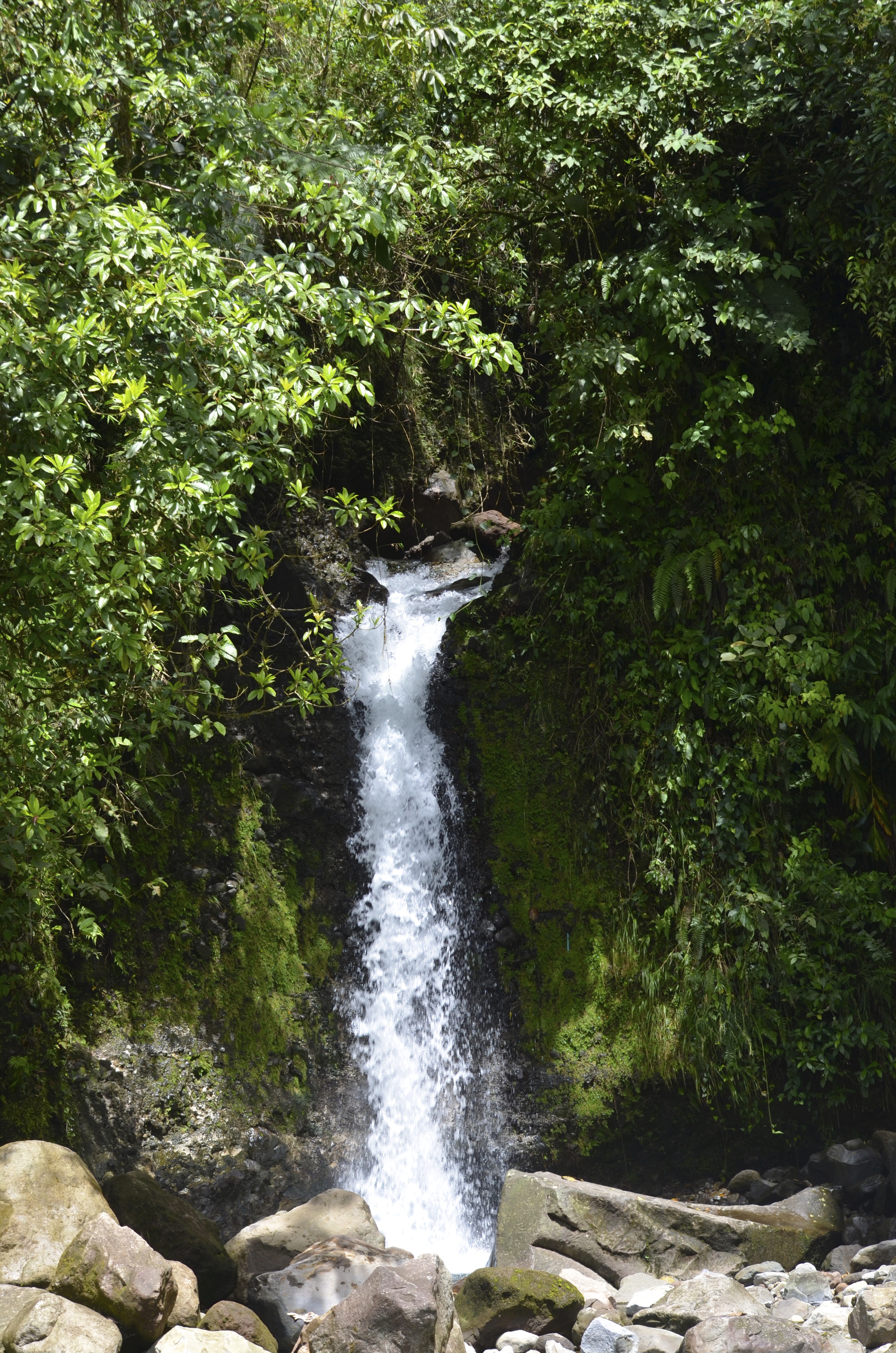 DSC_0219.jpg
