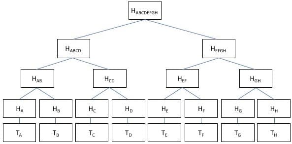 Merkle-tree.jpg