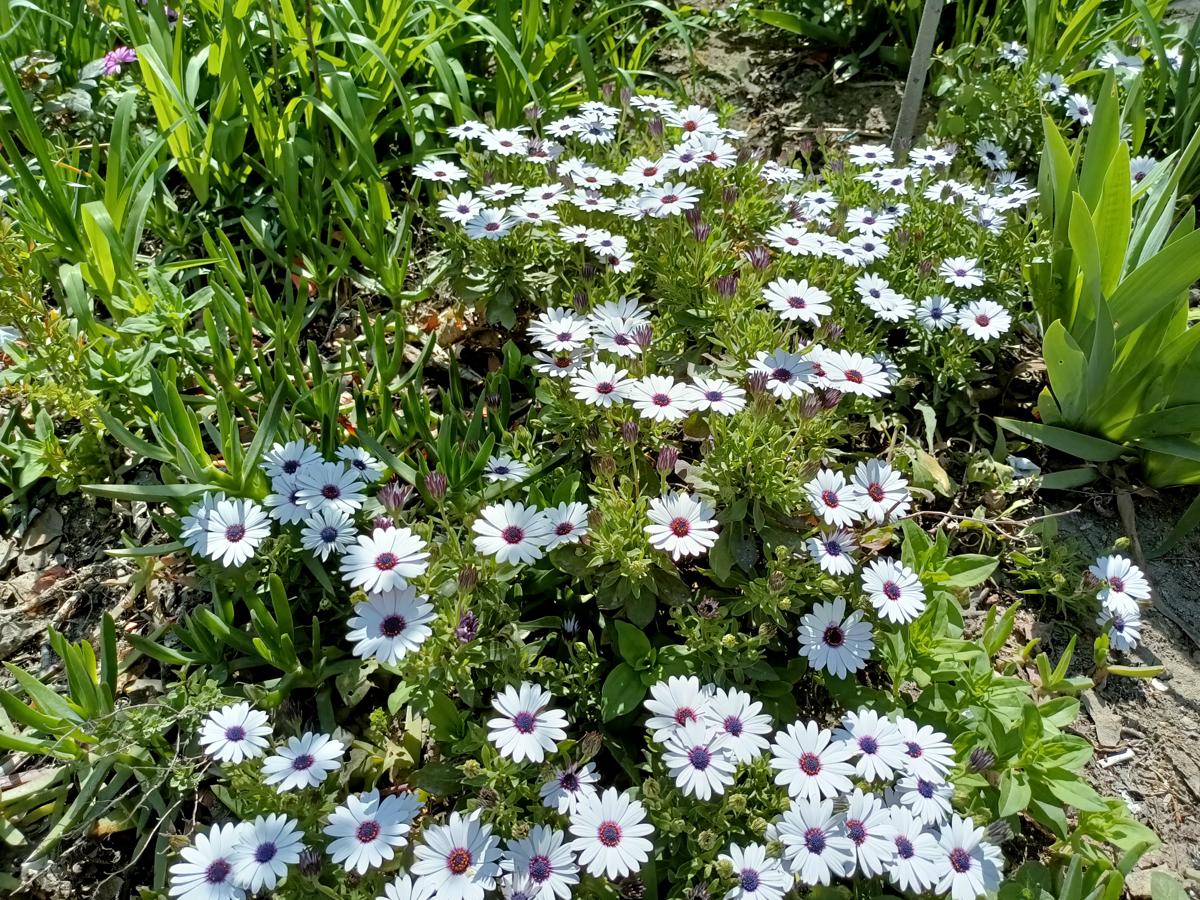 IMG20230420114658.jpg