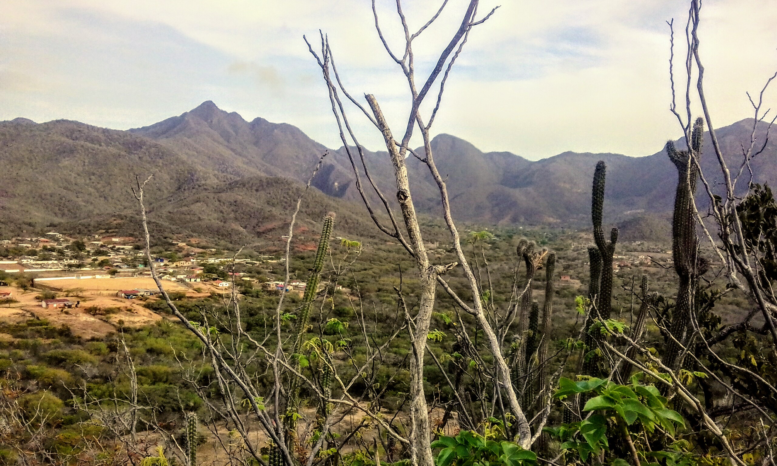 20200704_170850.jpg