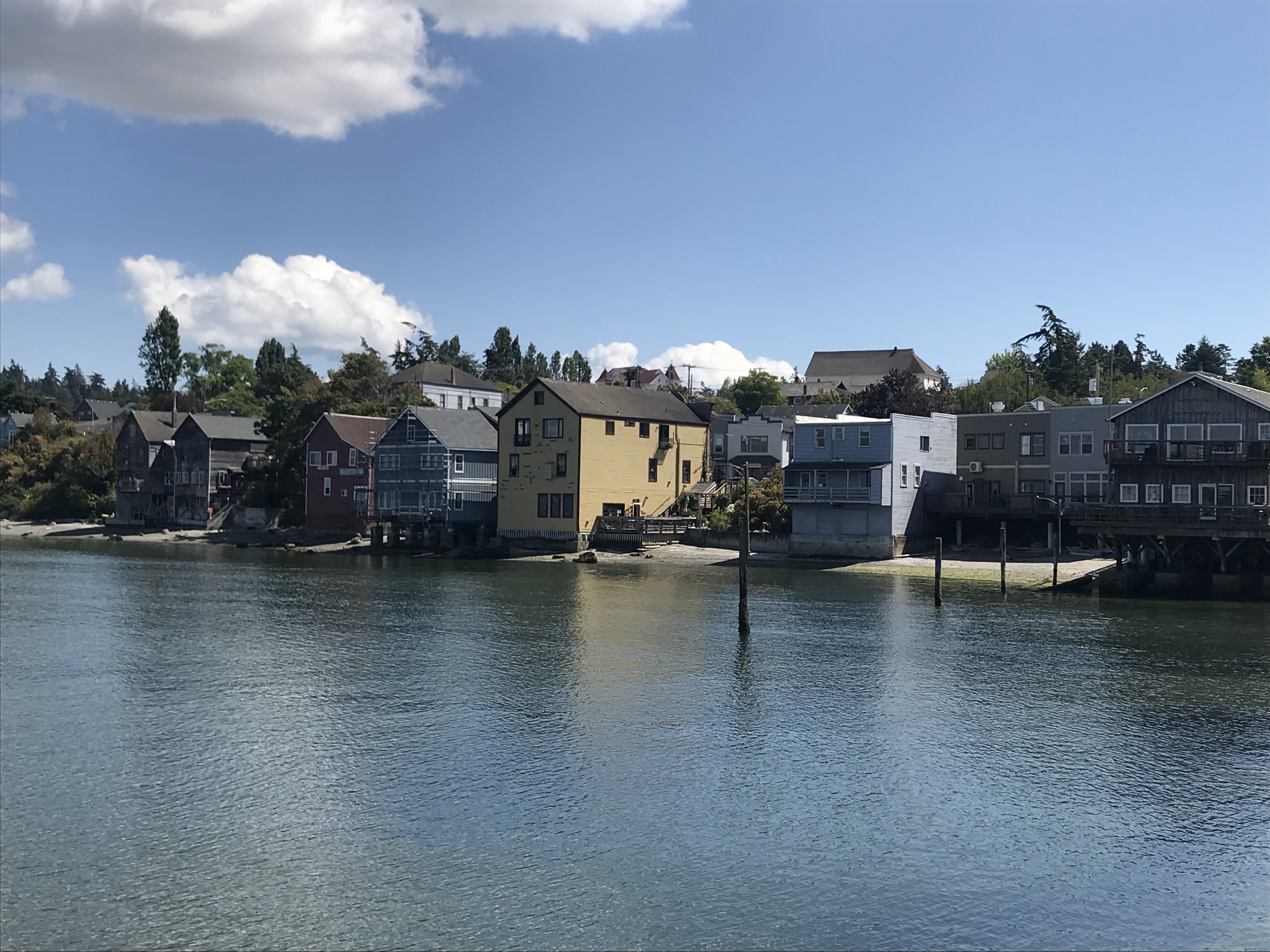 EFE88445-18DE-4B6B-8FE4-DF8590D6CC42.jpeg
