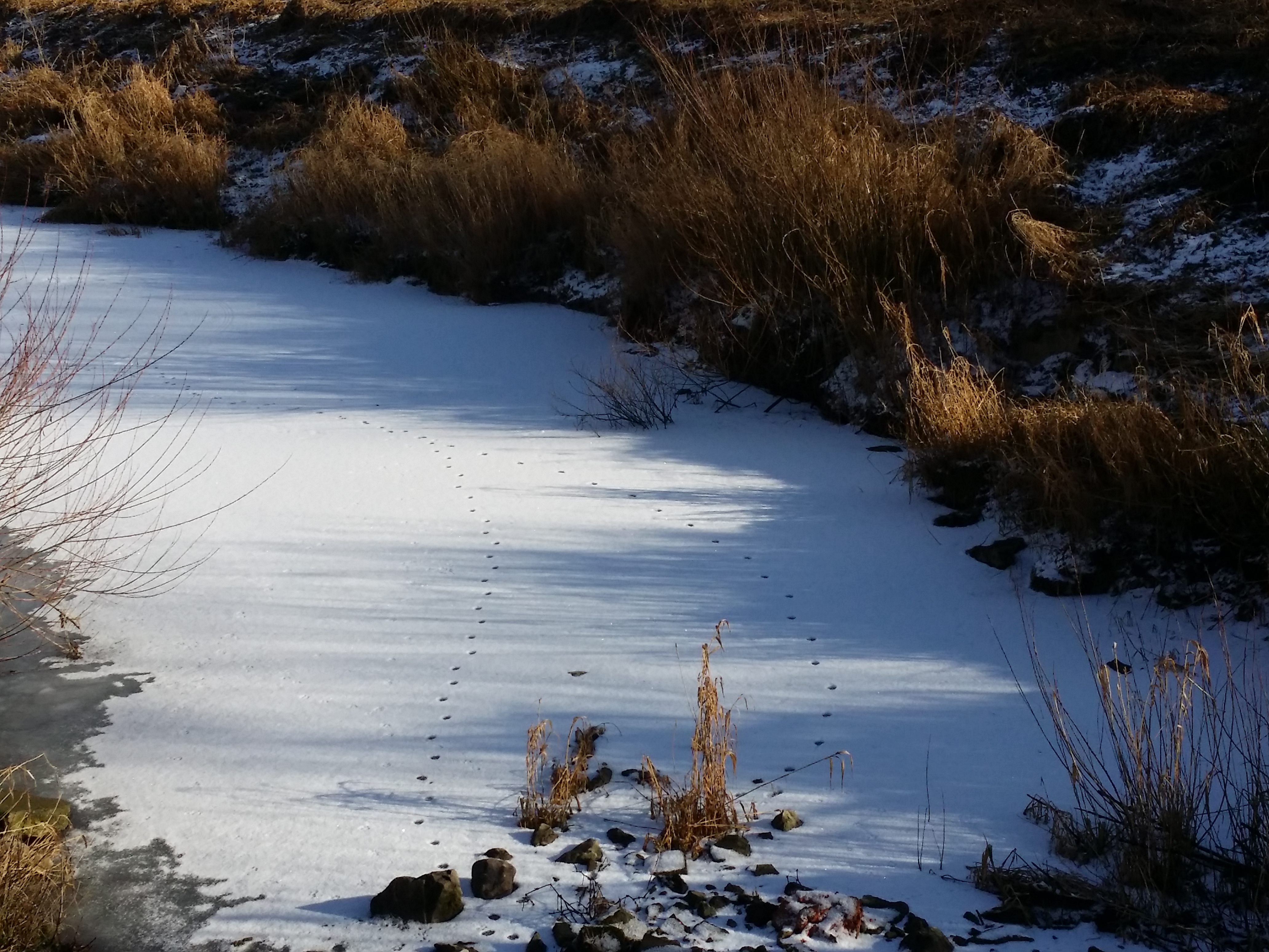 20190109_132837.jpg