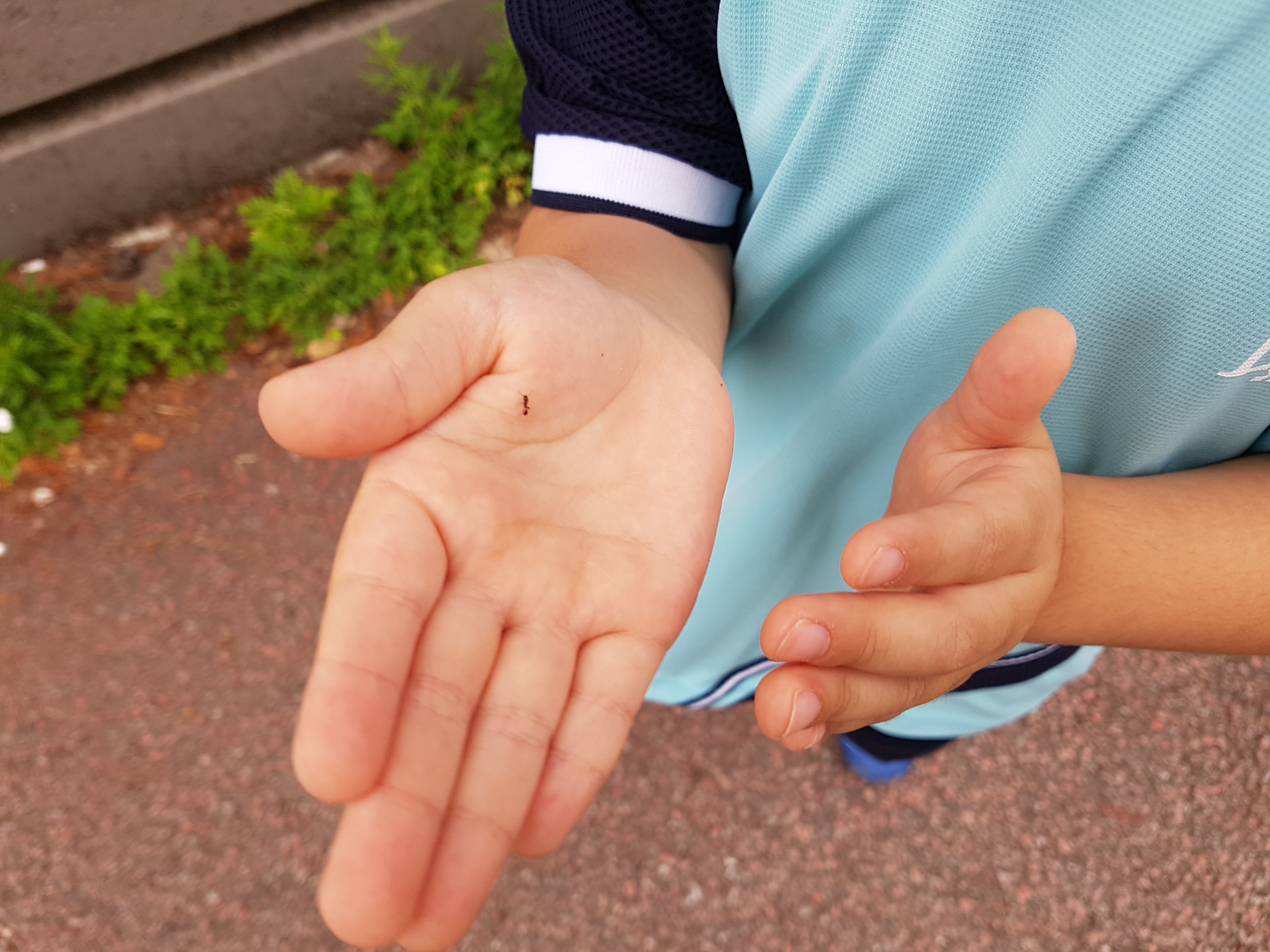 20180628_081054.jpg