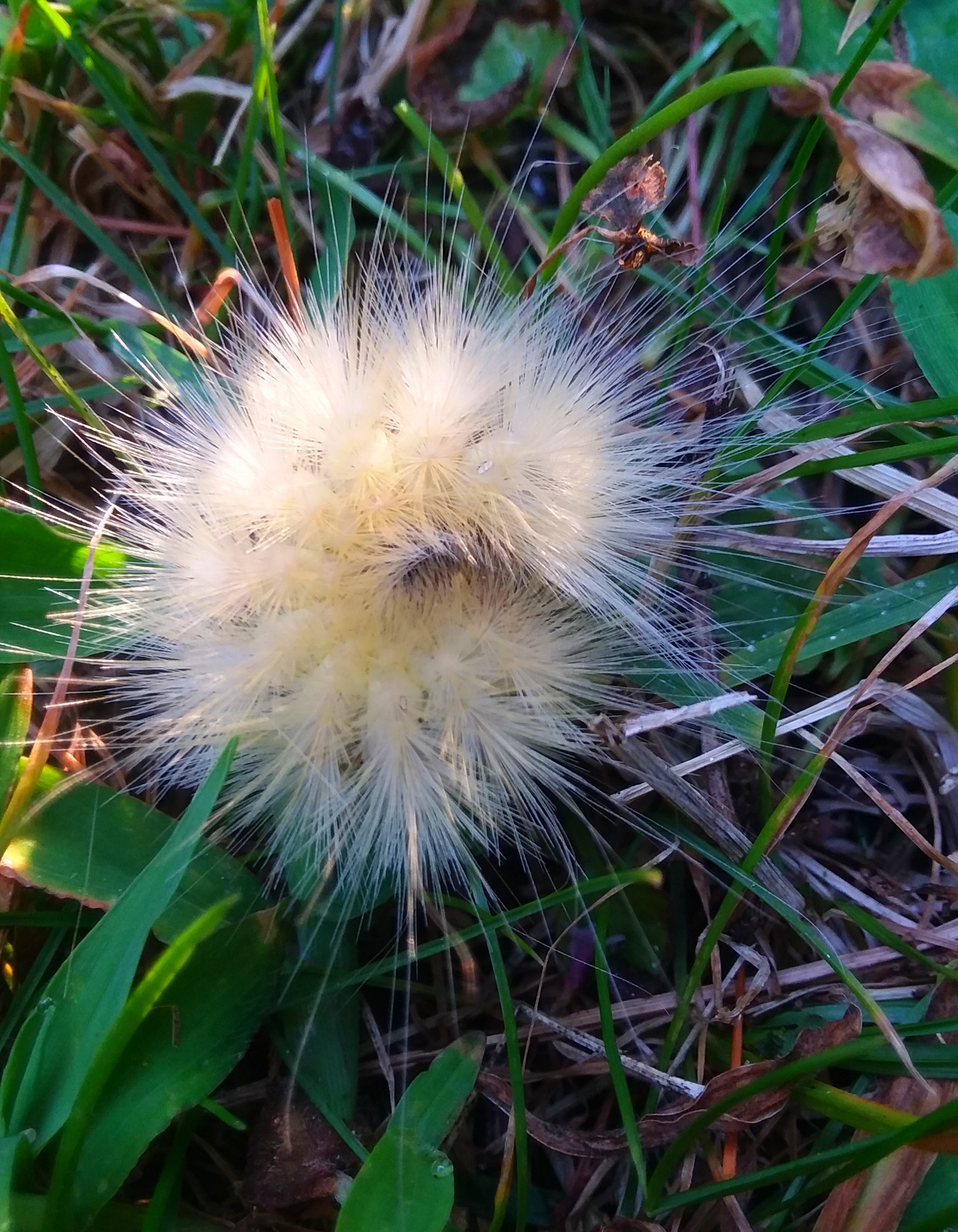 20190827_190142.jpg