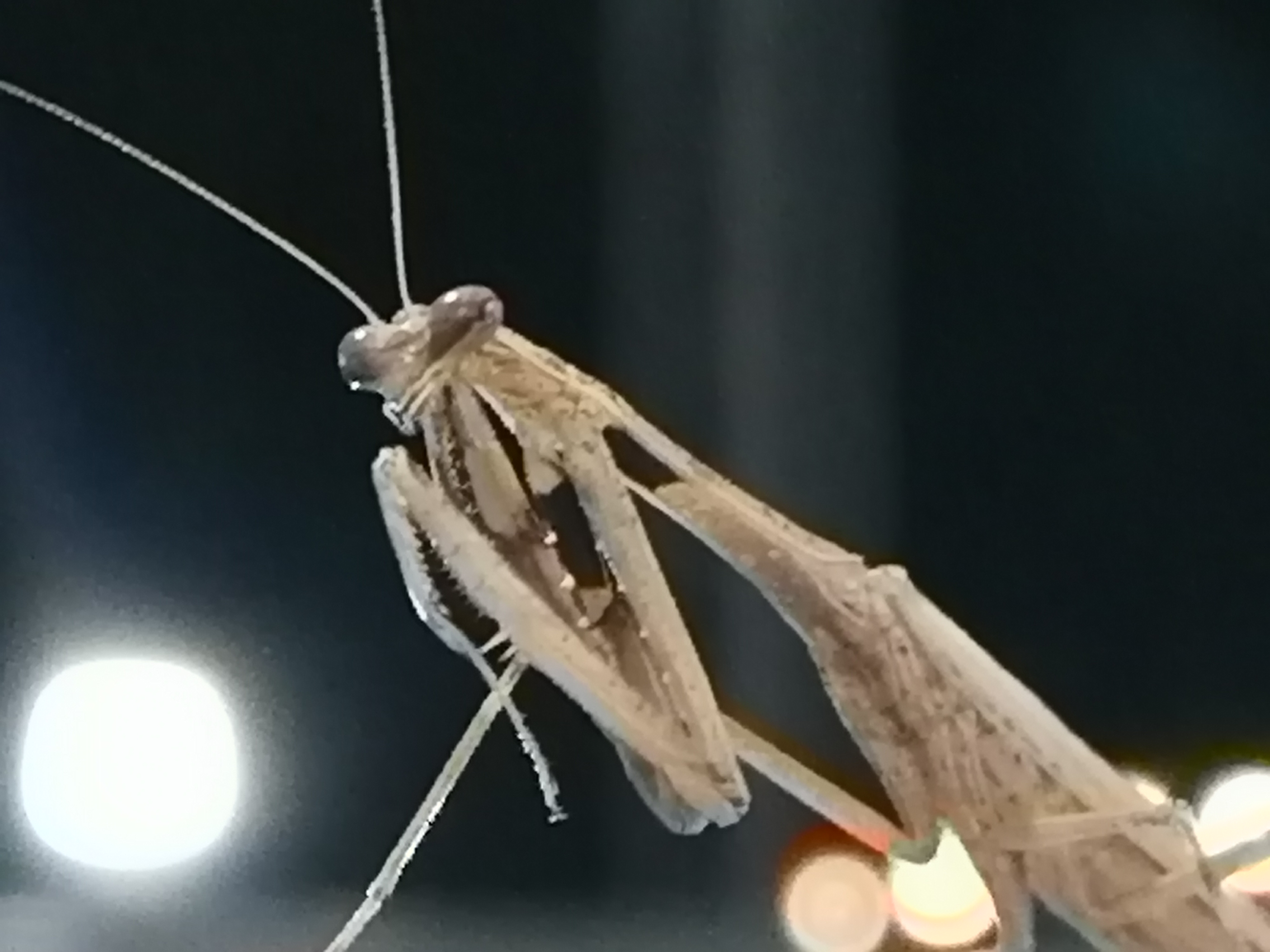 IMG_20211120_180150.jpg