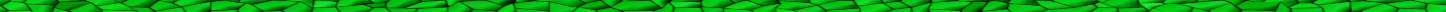 border grass.jpg