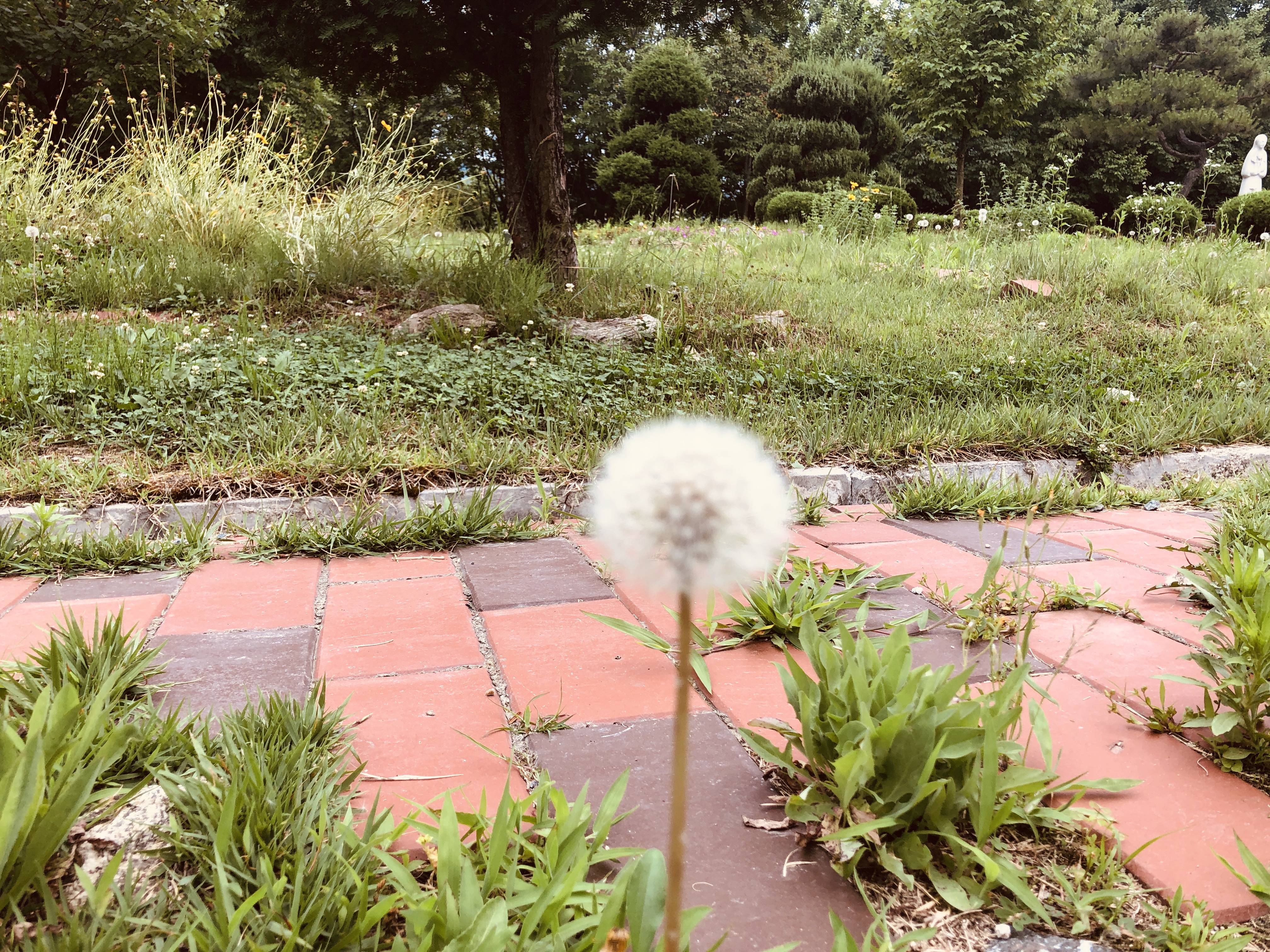 F8787DF3-9A8F-4E15-8B35-B1397C46CB9C.jpeg
