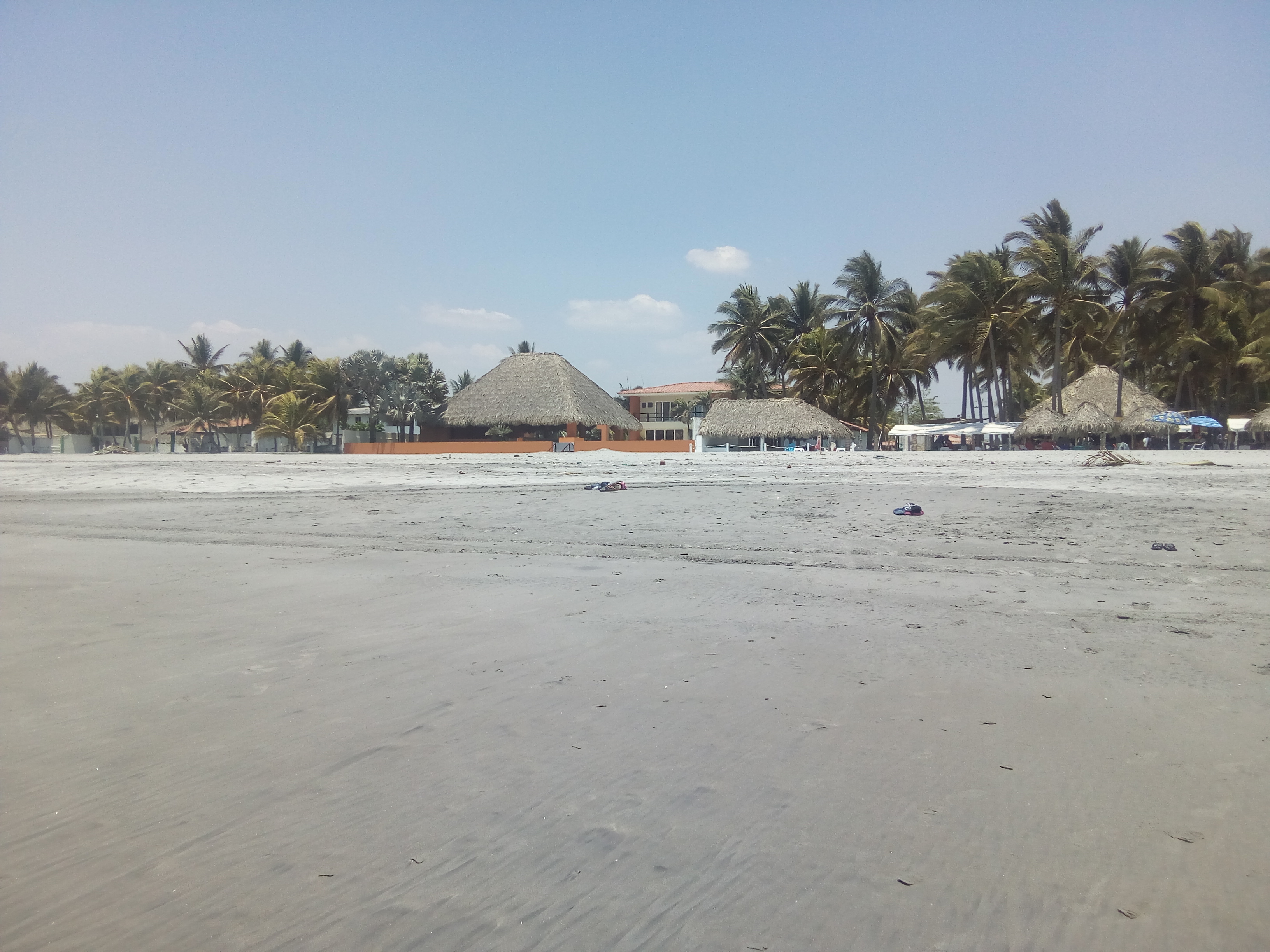 IMG_20180325_120121.jpg