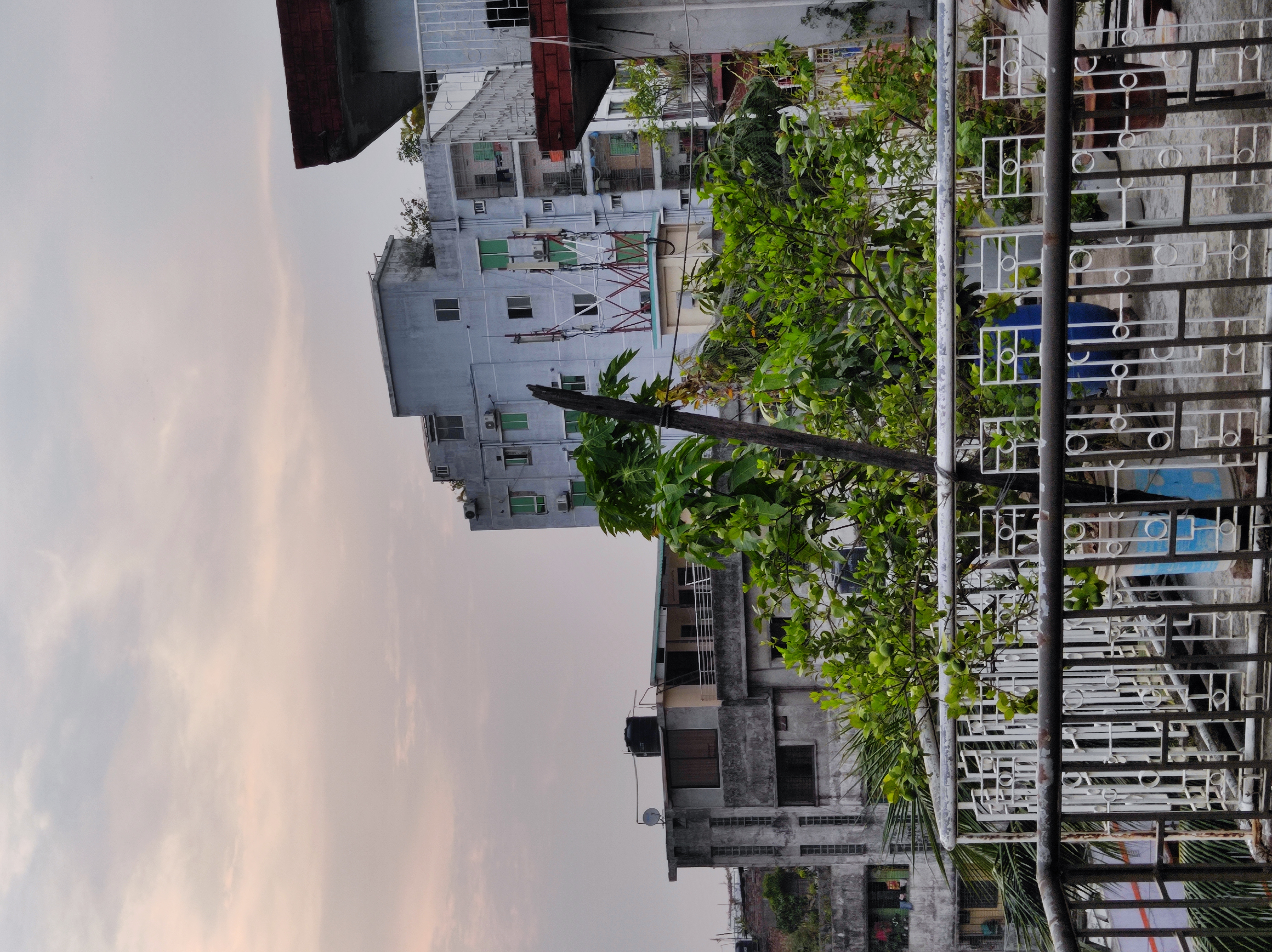 IMG_20240504_182023.jpg