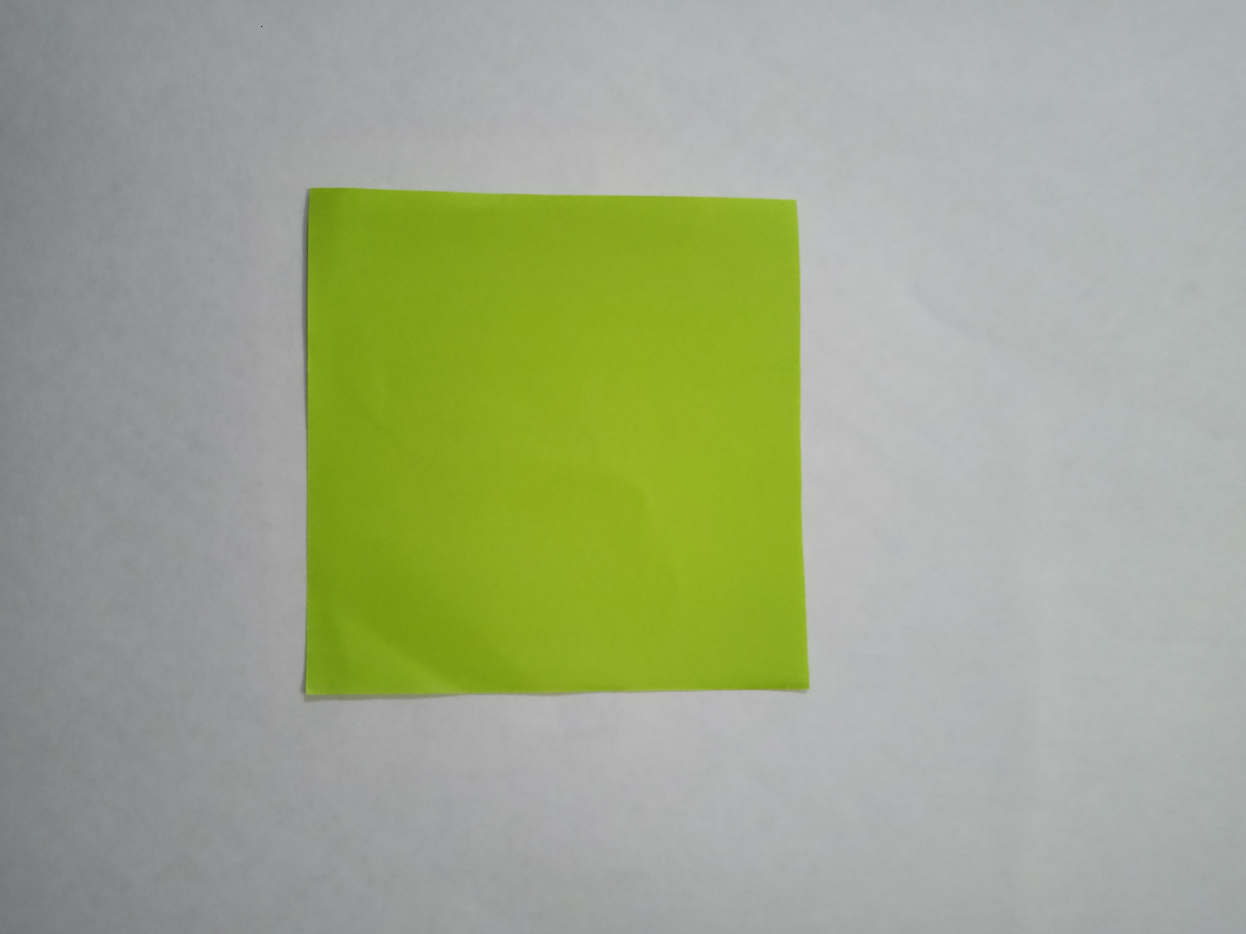 IMG20211028170041.jpg