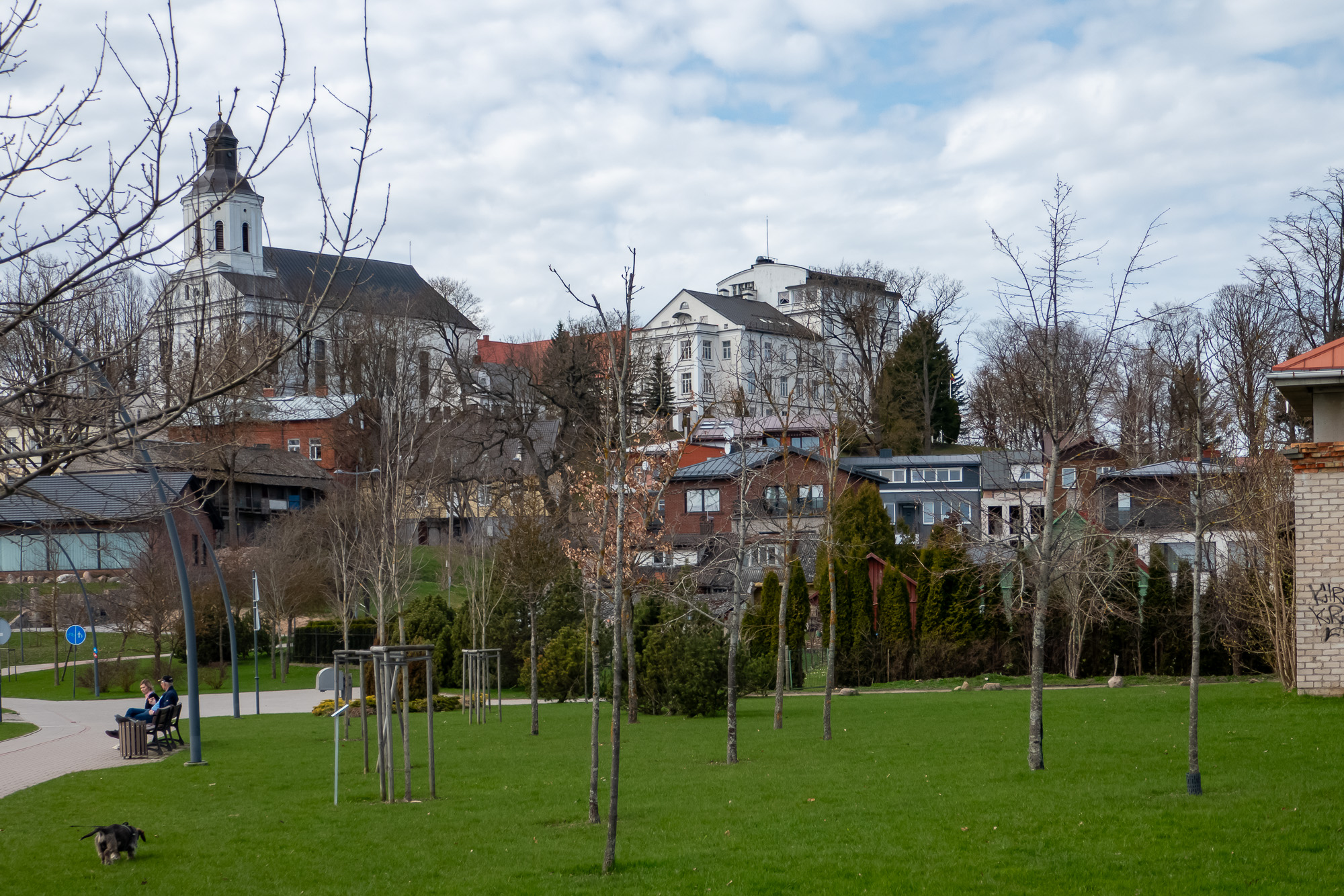 P1330136.jpg