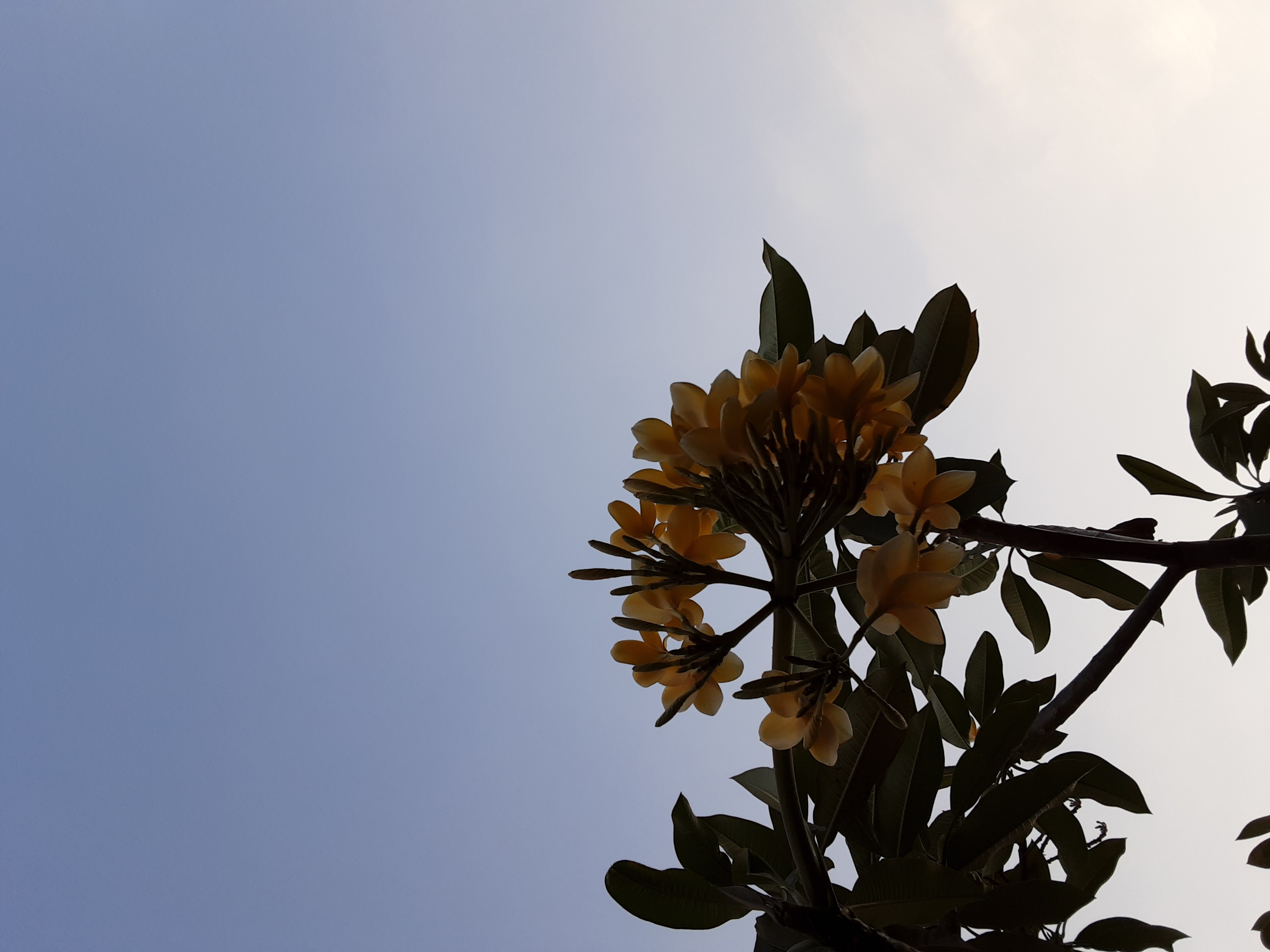 20200614_172008.jpg